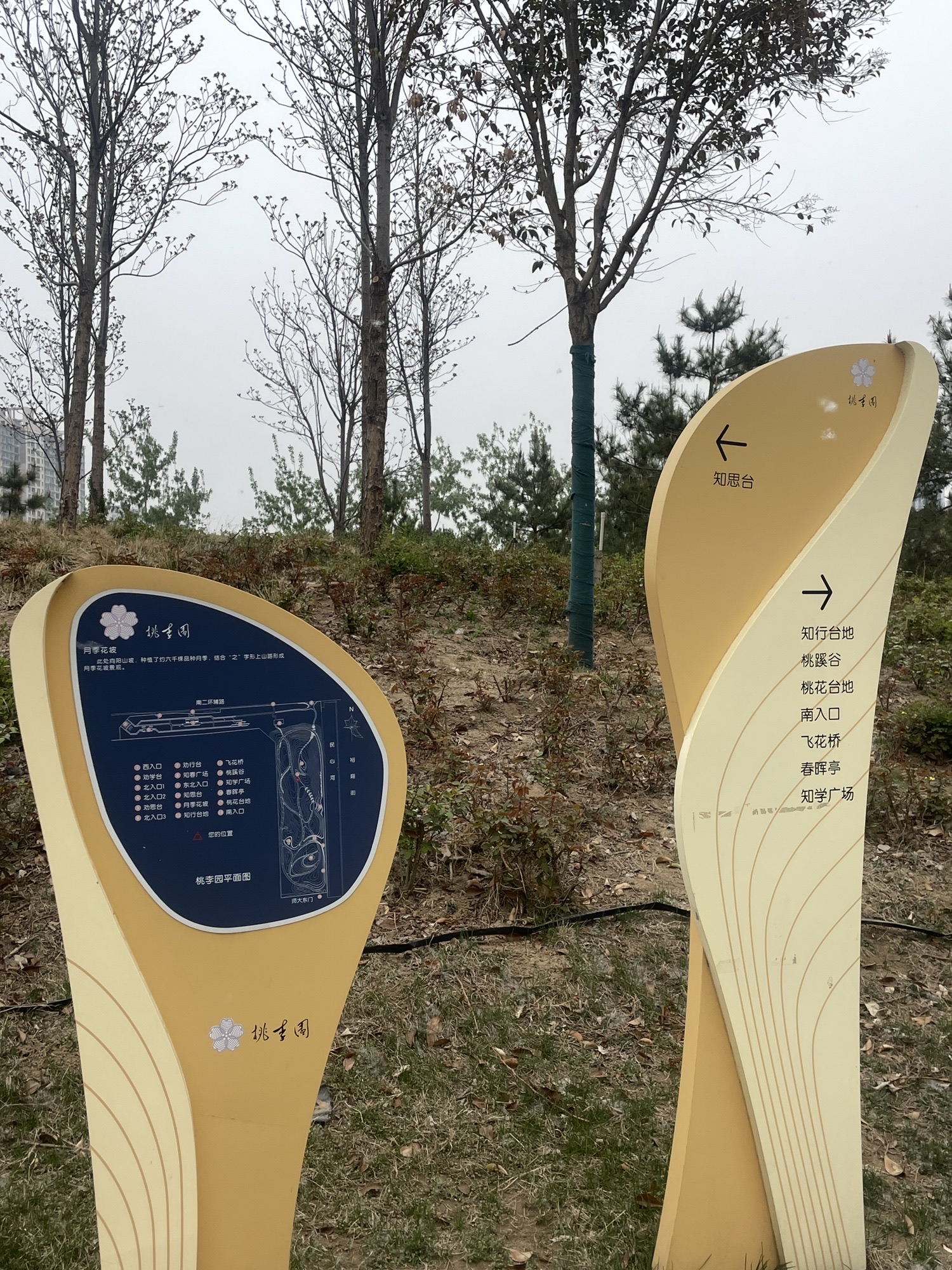 师大桃李园旅行图片 2