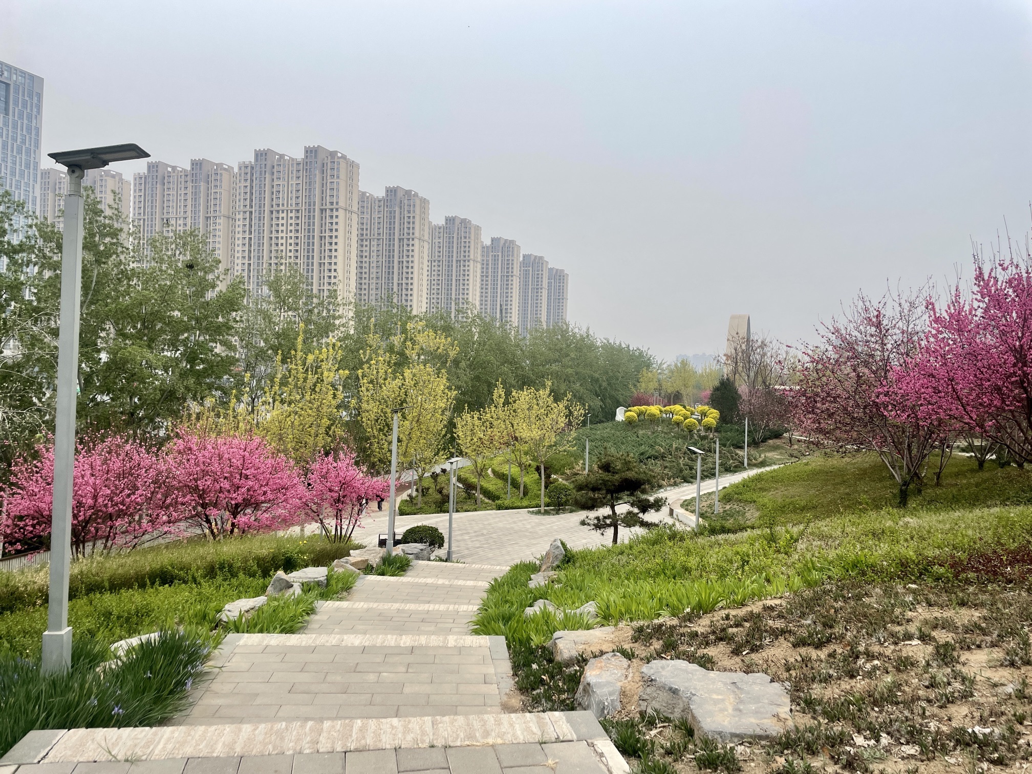 师大桃李园旅行图片 3
