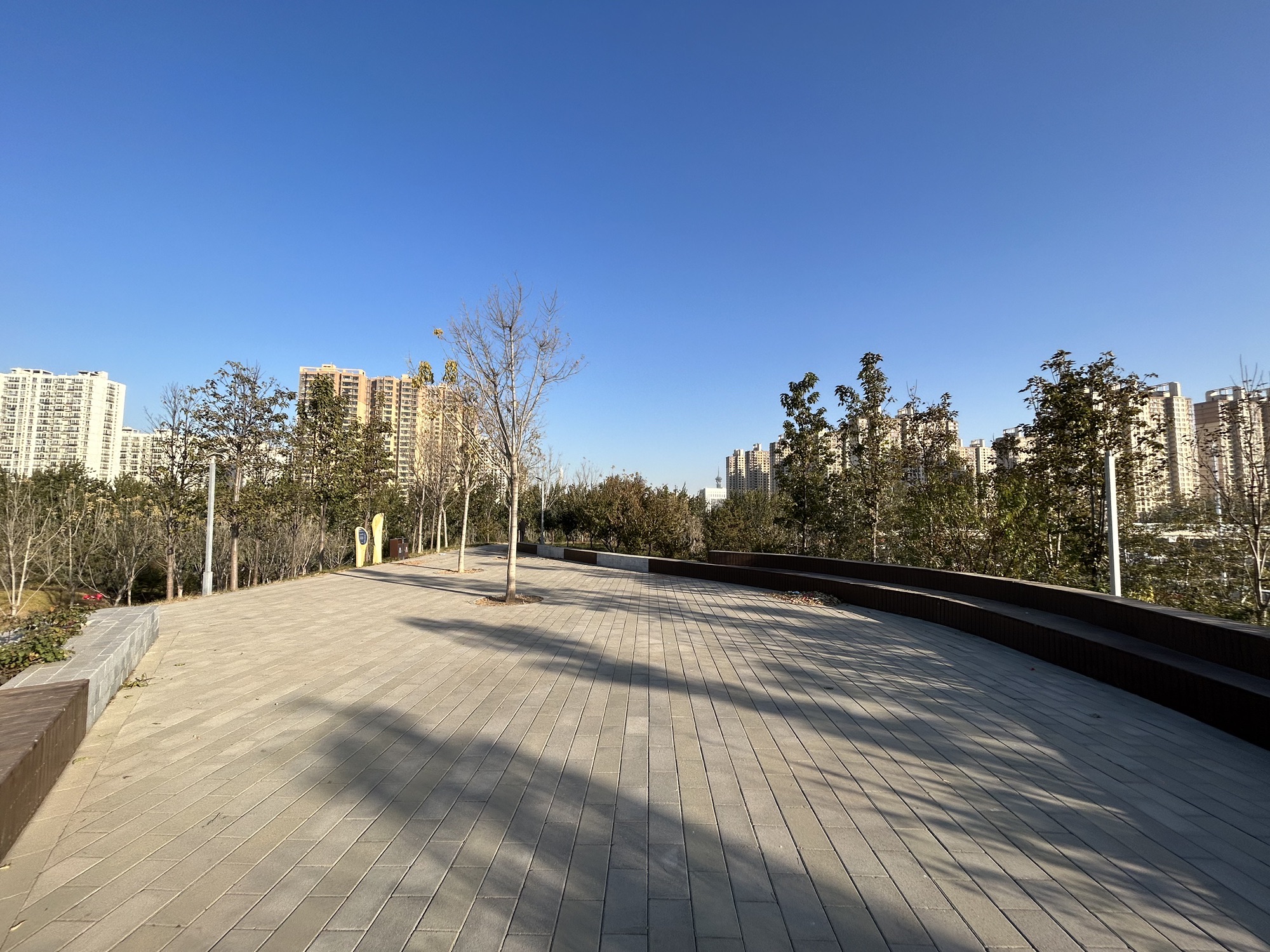 师大桃李园旅行图片 2