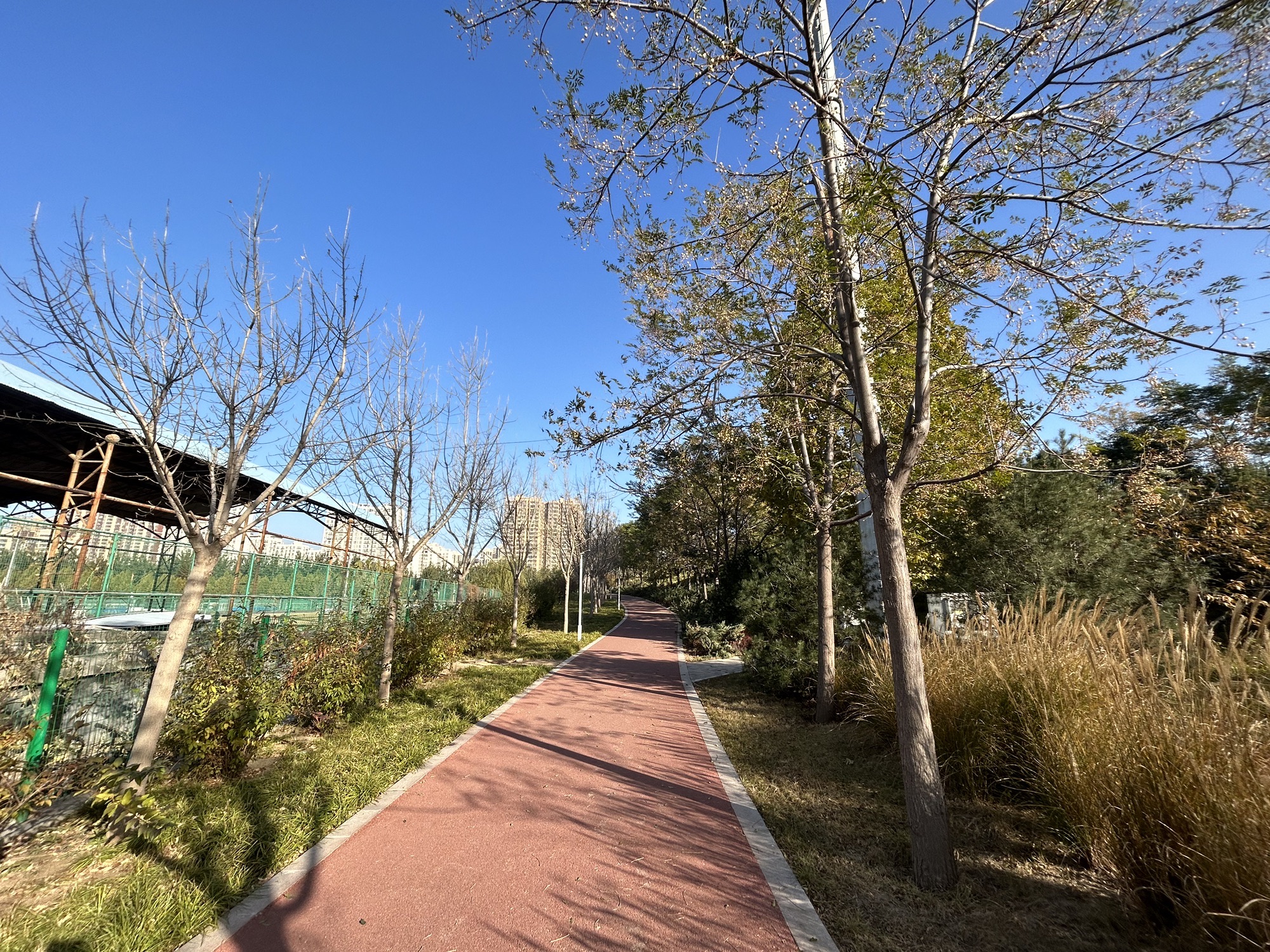 师大桃李园旅行图片 3