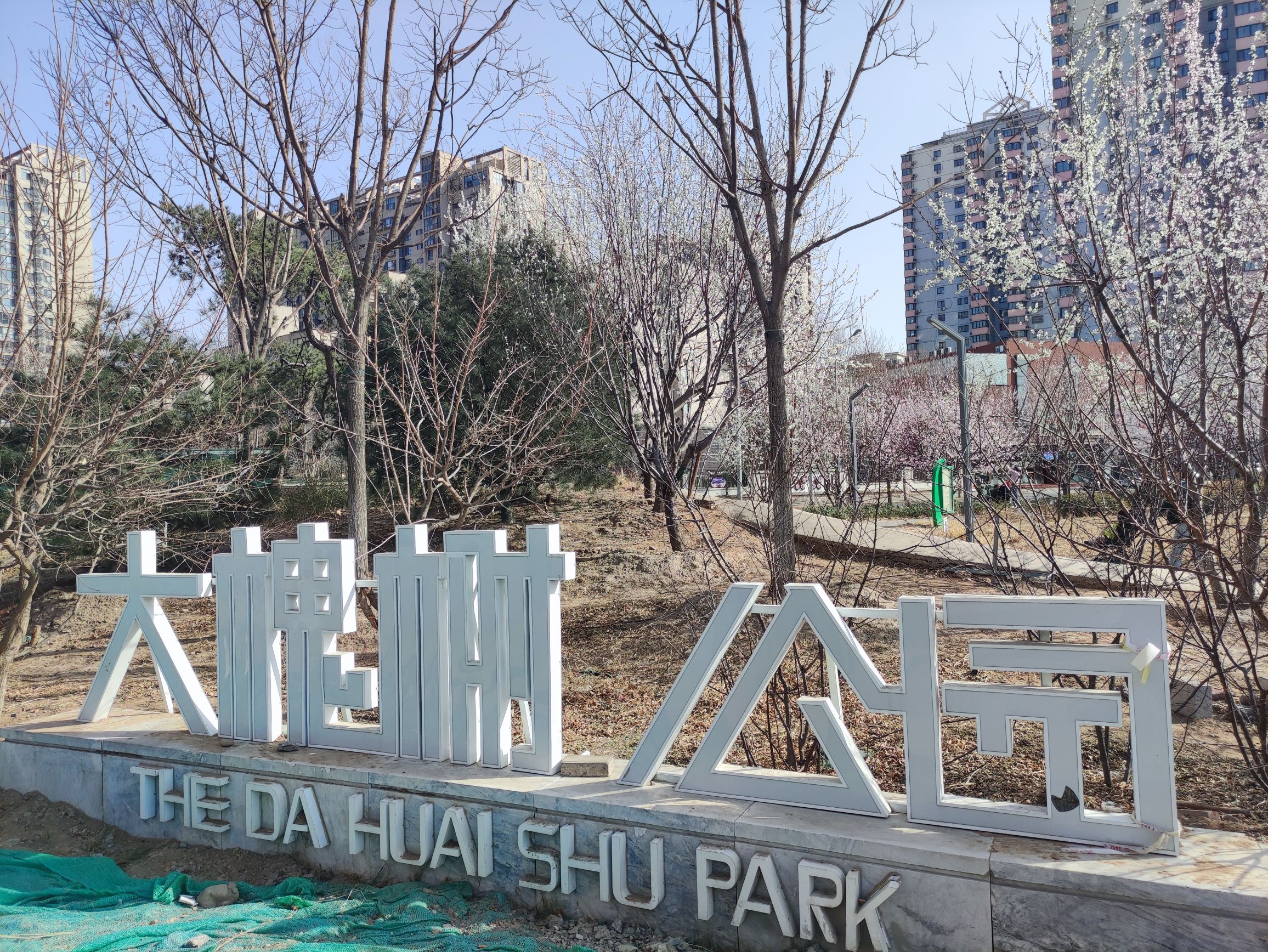 大槐树公园旅行图片 2