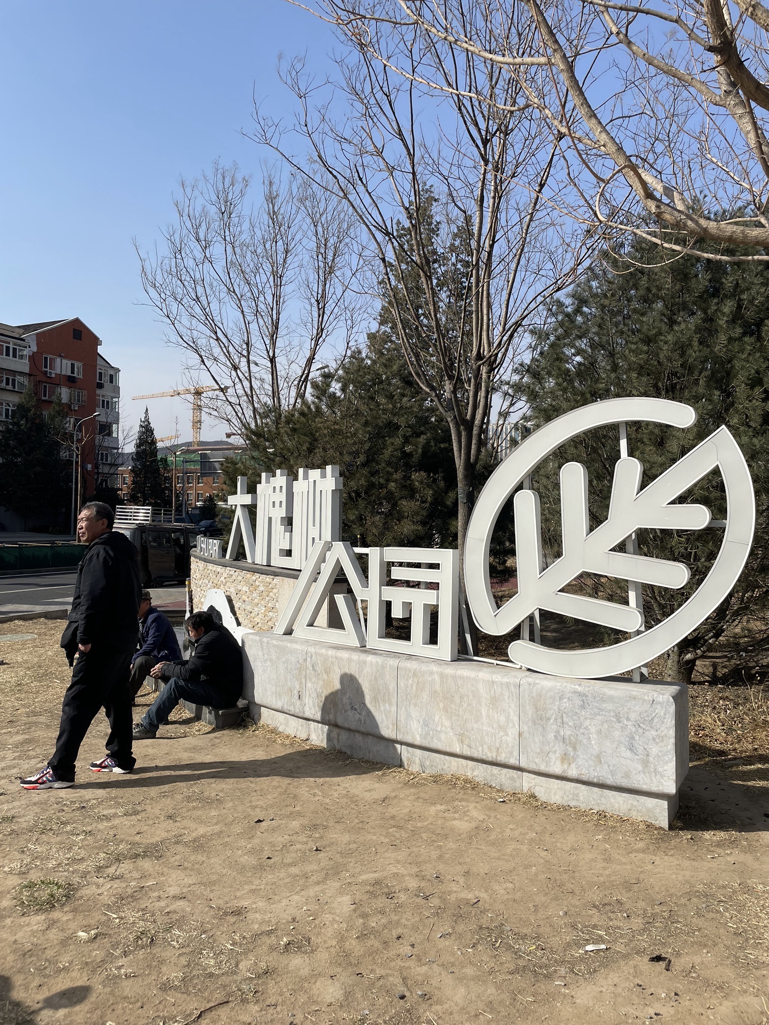 大槐树公园旅行图片 3