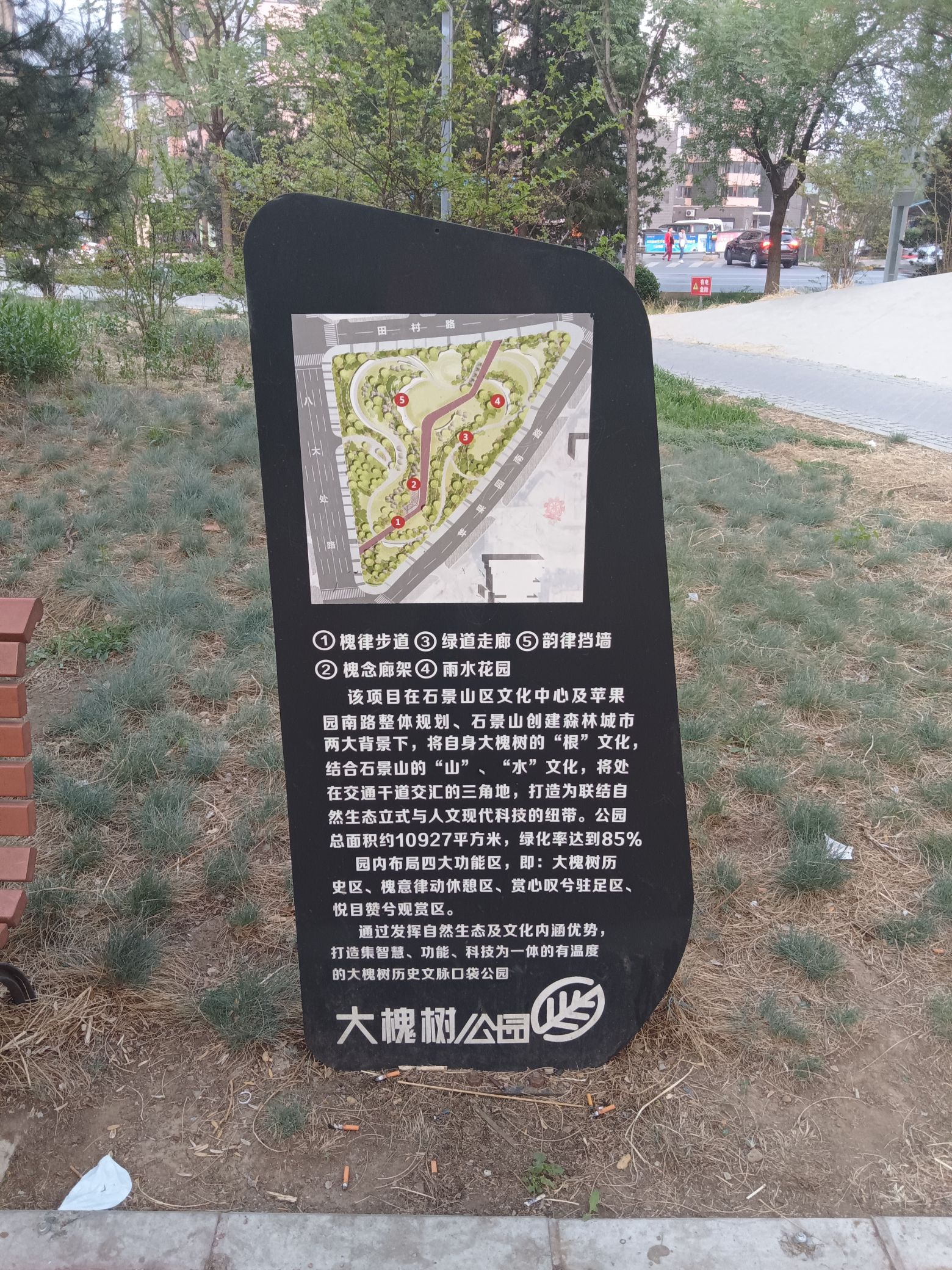 大槐树公园旅行图片 3
