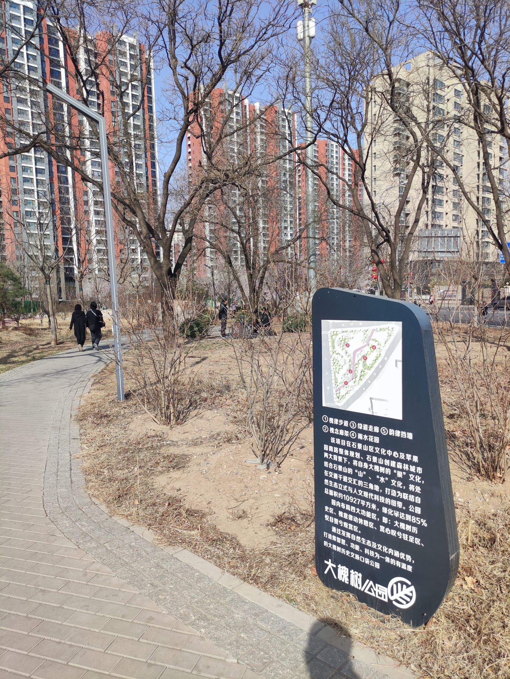 大槐树公园旅行图片 1
