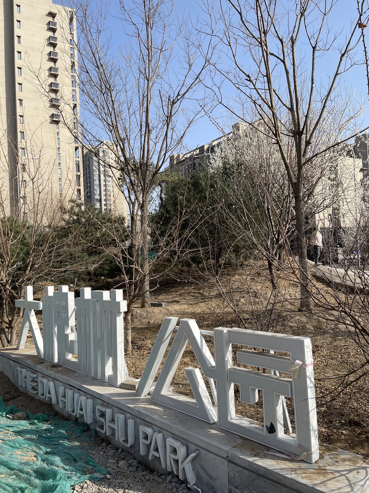 大槐树公园旅行图片 1