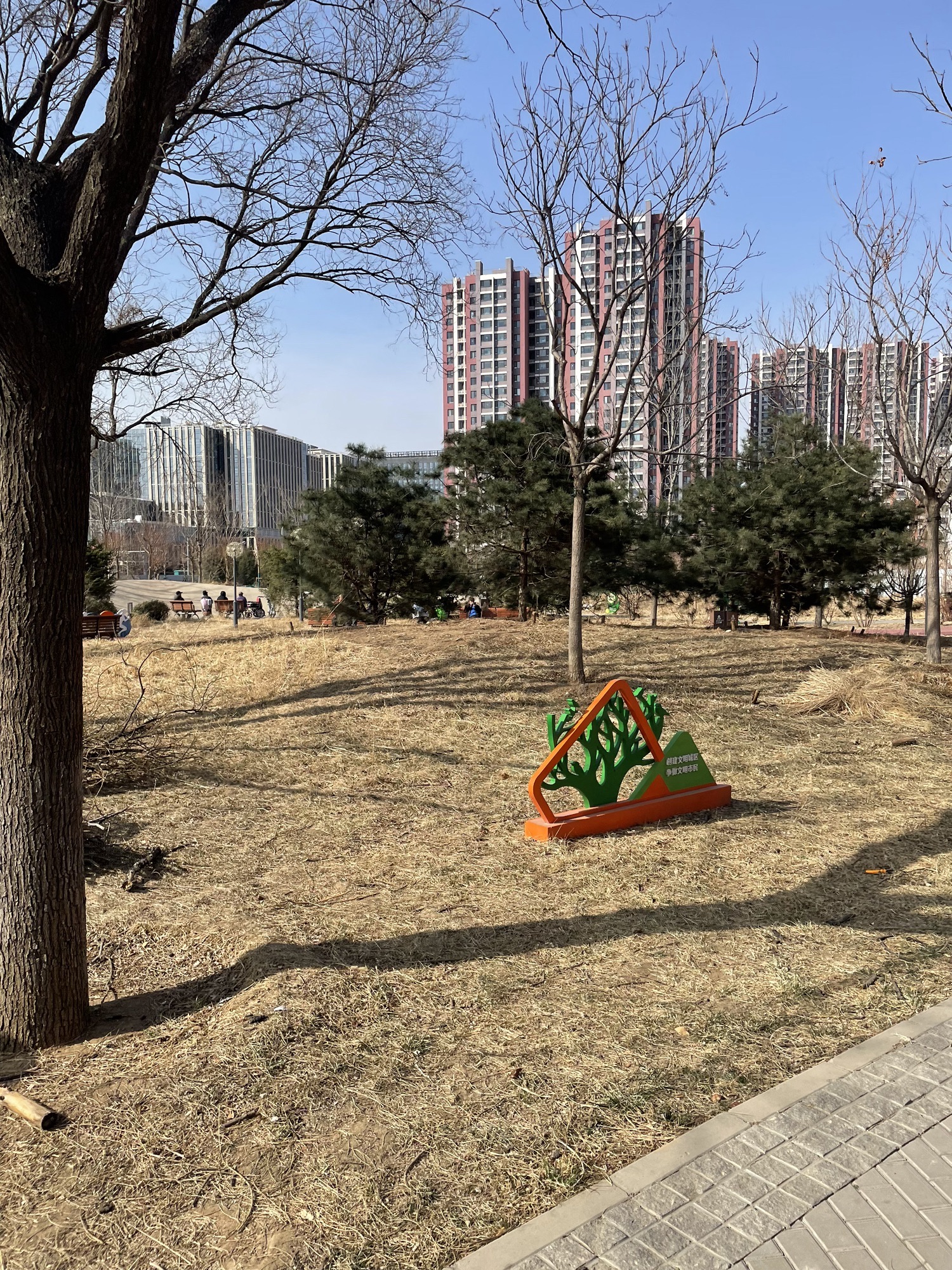大槐树公园旅行图片 3