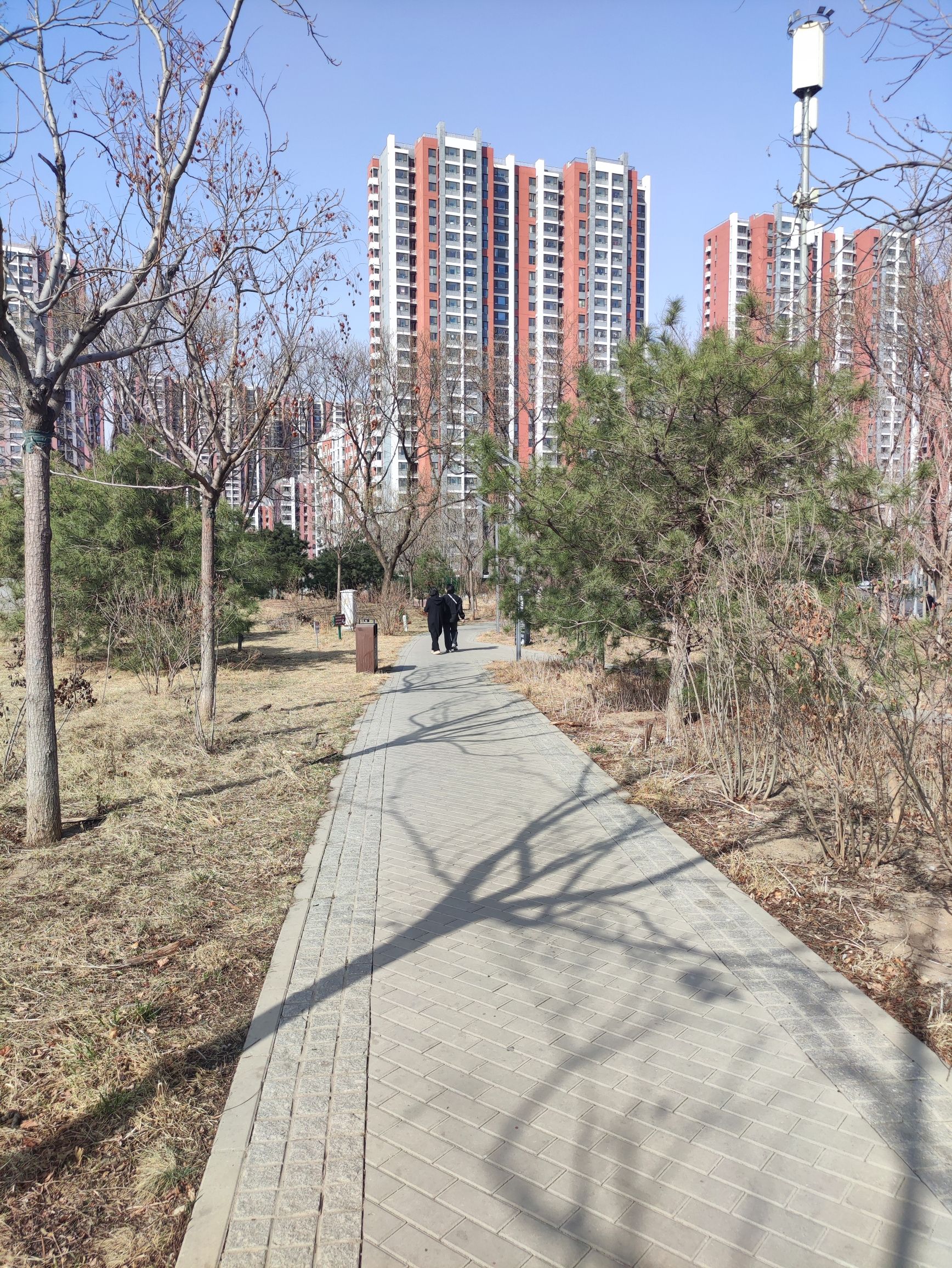 大槐树公园旅行图片 2