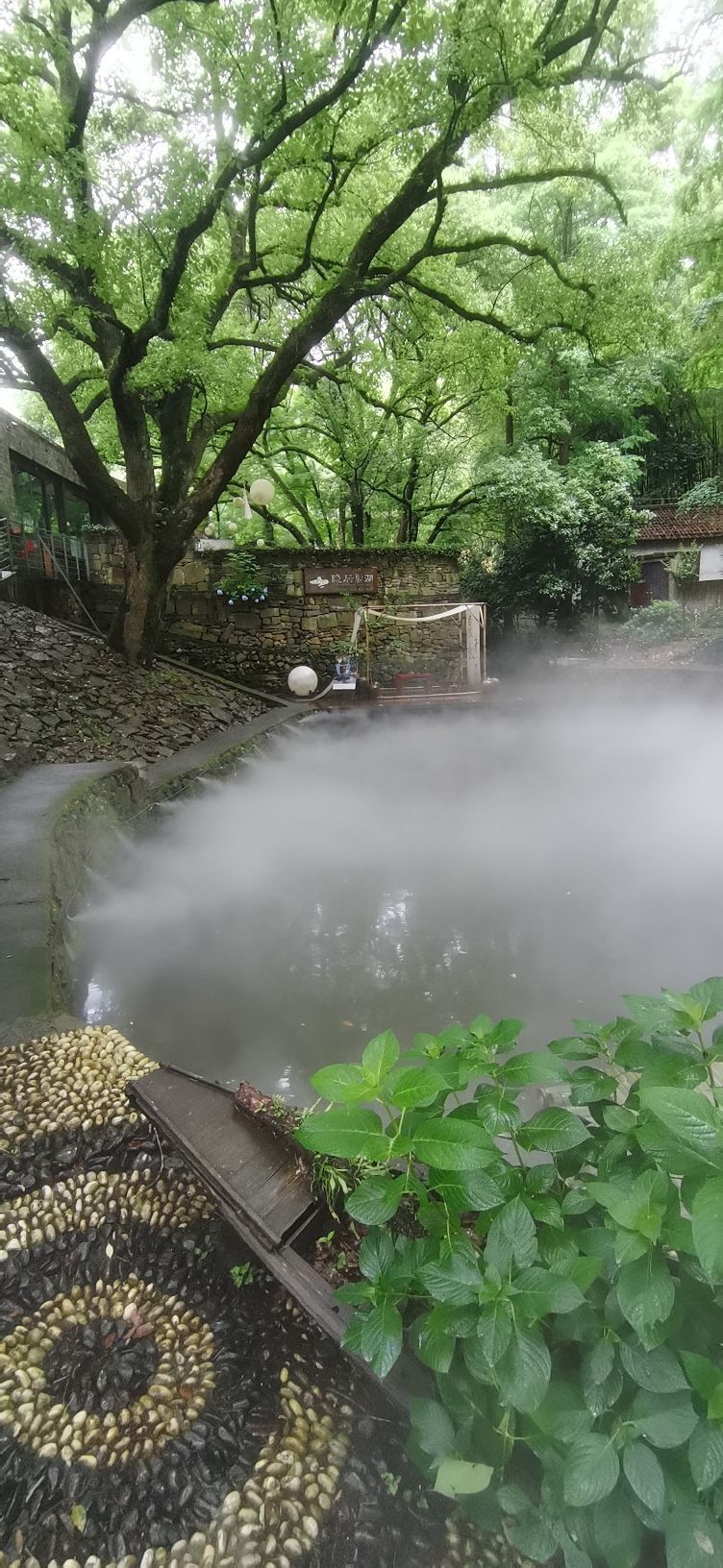 宁波山地车越野公园旅行图片 3