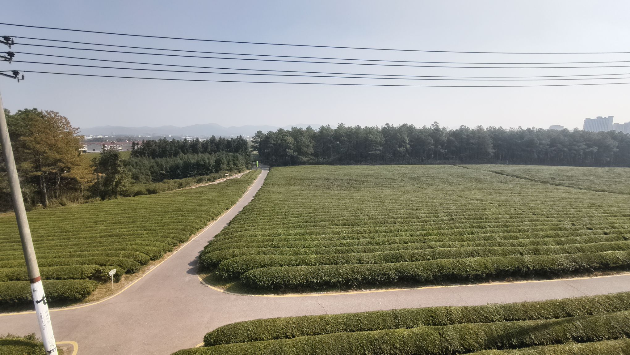 香谷小镇茶文化园骑行道-观景台旅行图片 2