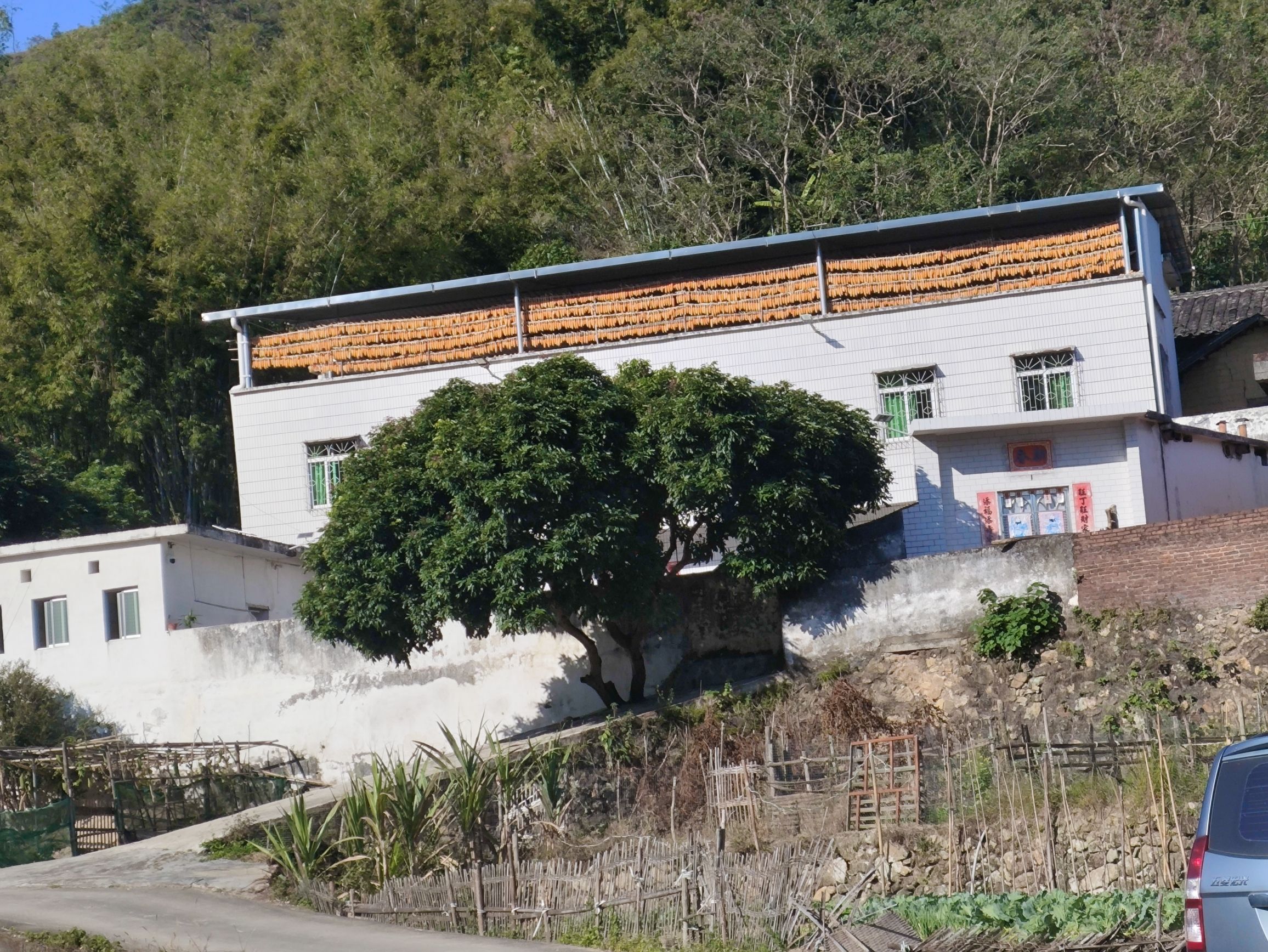 蒲垌涧底村文化广场旅行图片 1