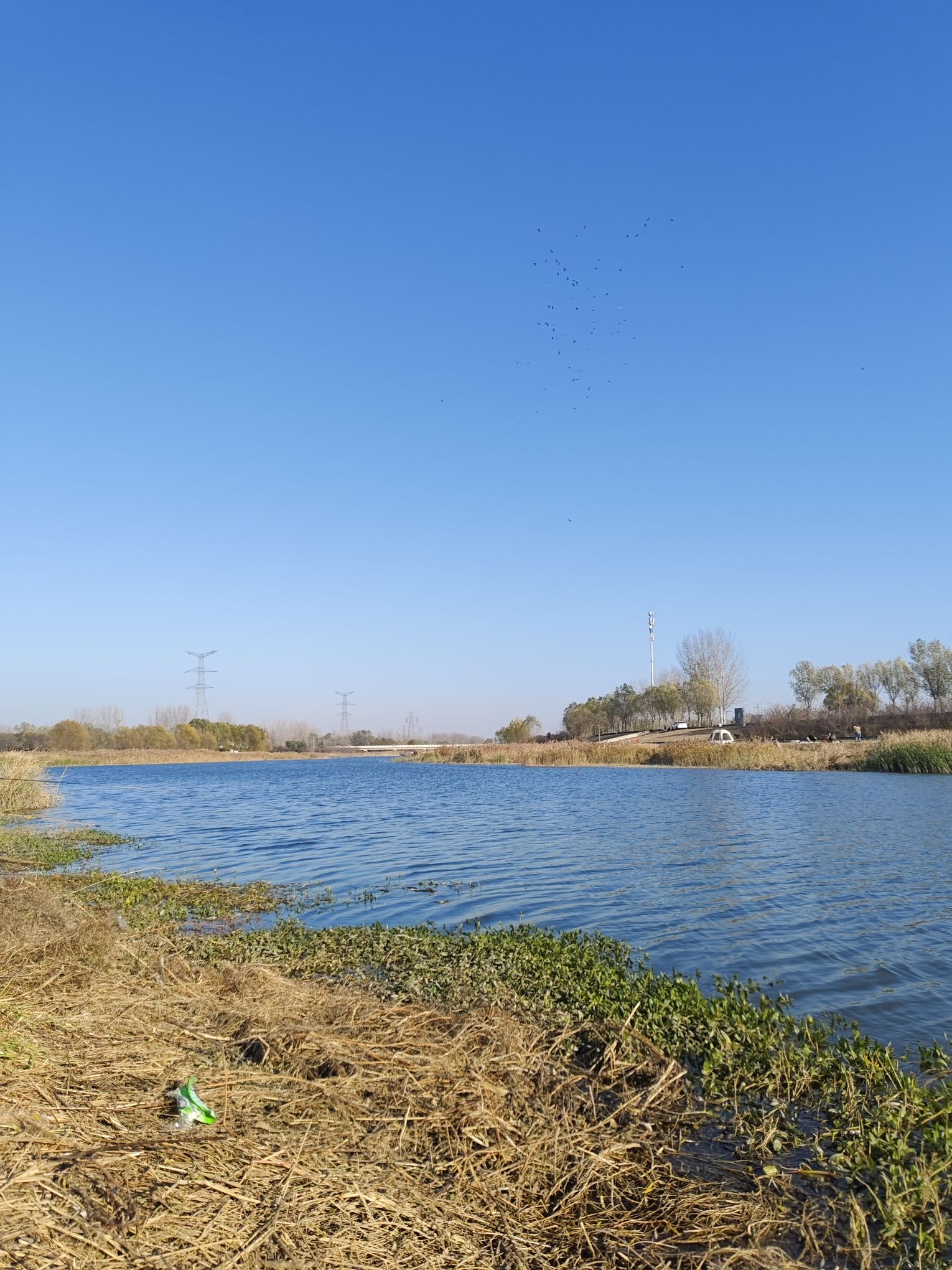 大运河湿地旅行图片 3