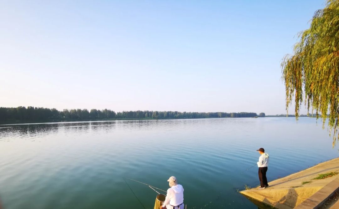 丽华公园旅行图片 2