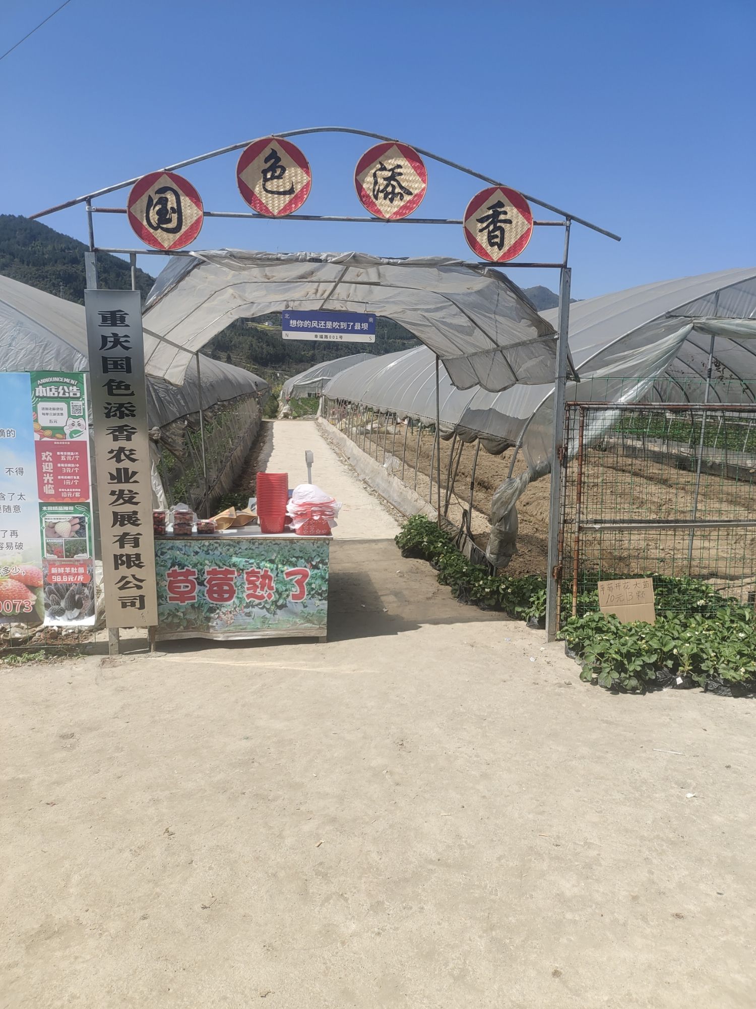 场地封面-国色添香草莓基地