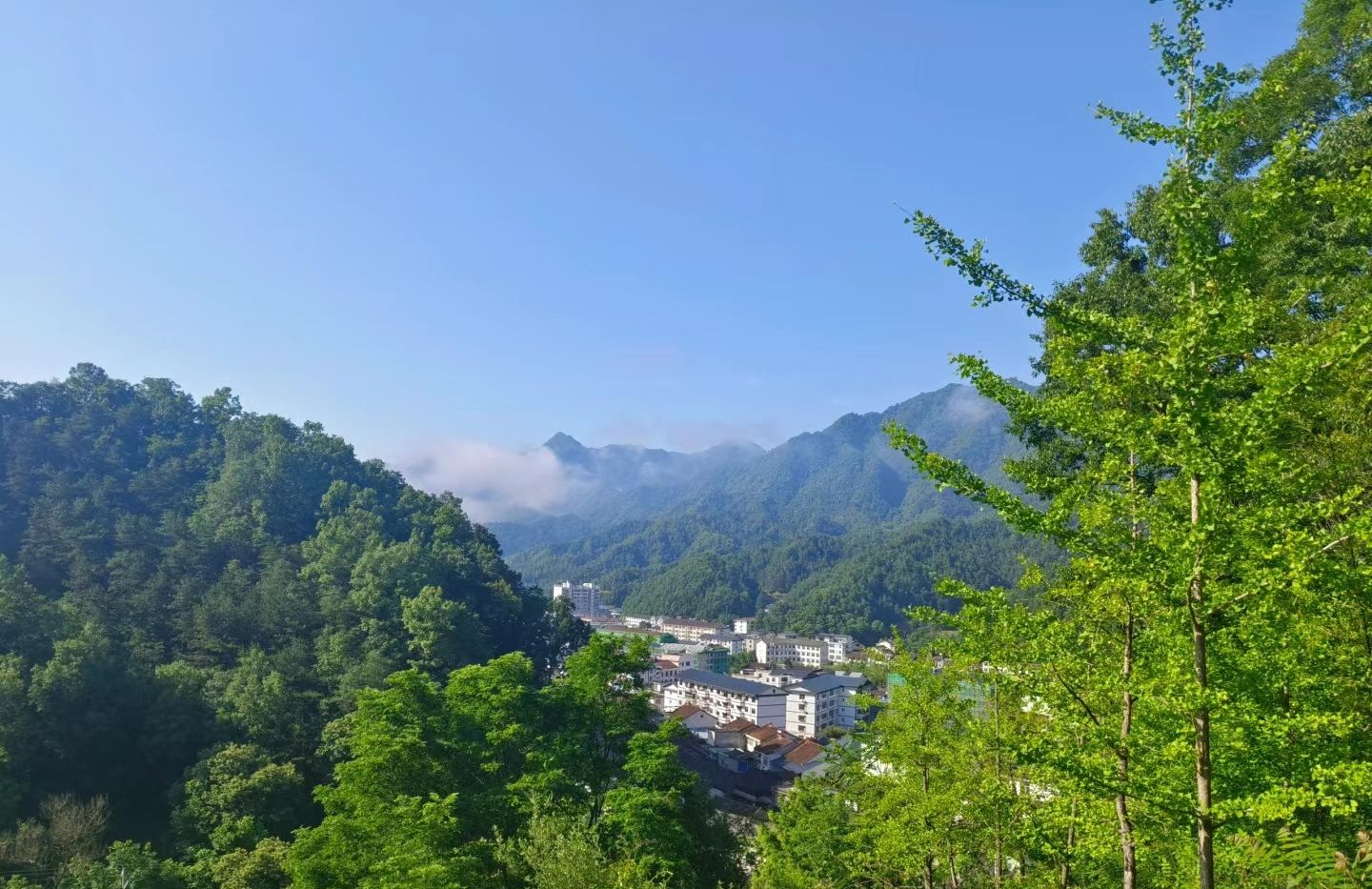 莲花山旅行图片 2