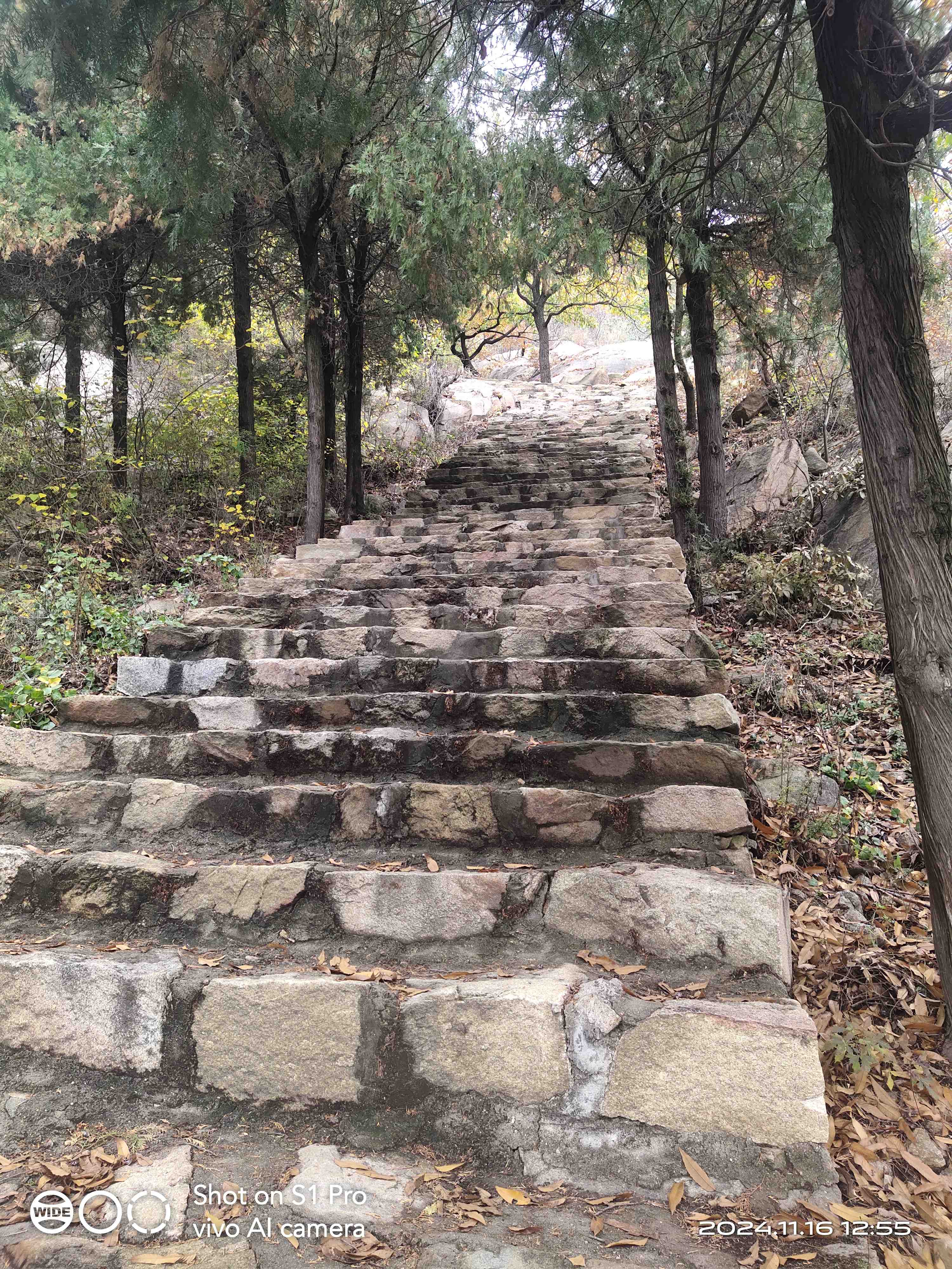 莲花山旅行图片 3
