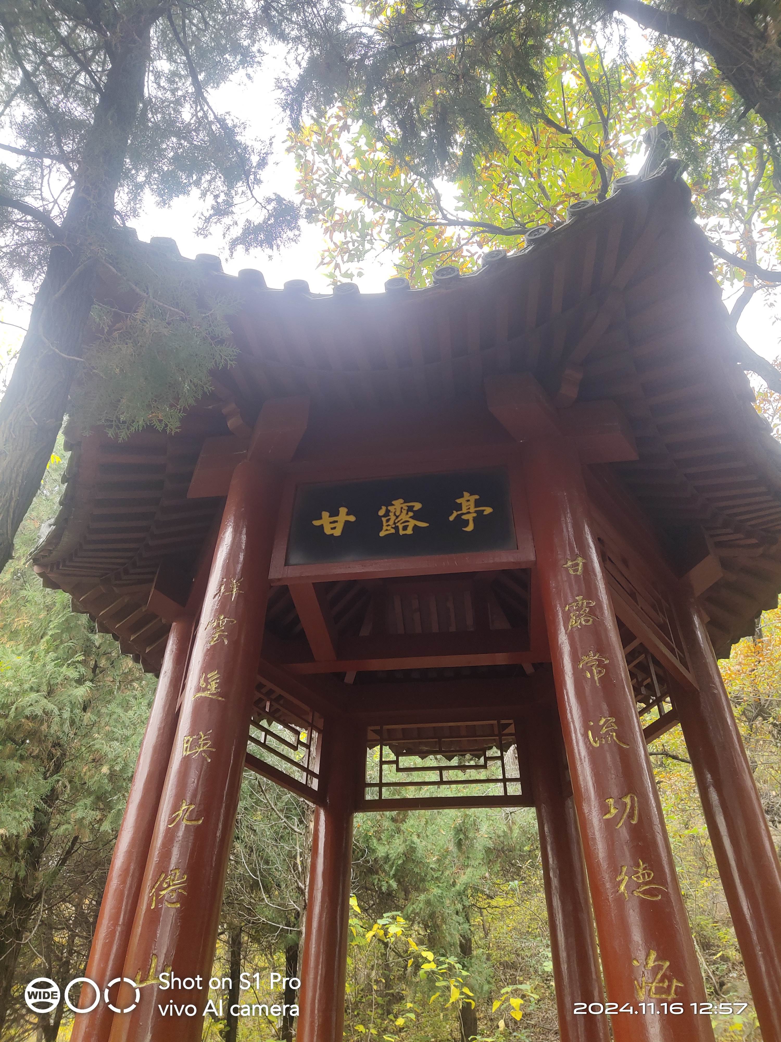 莲花山旅行图片 1