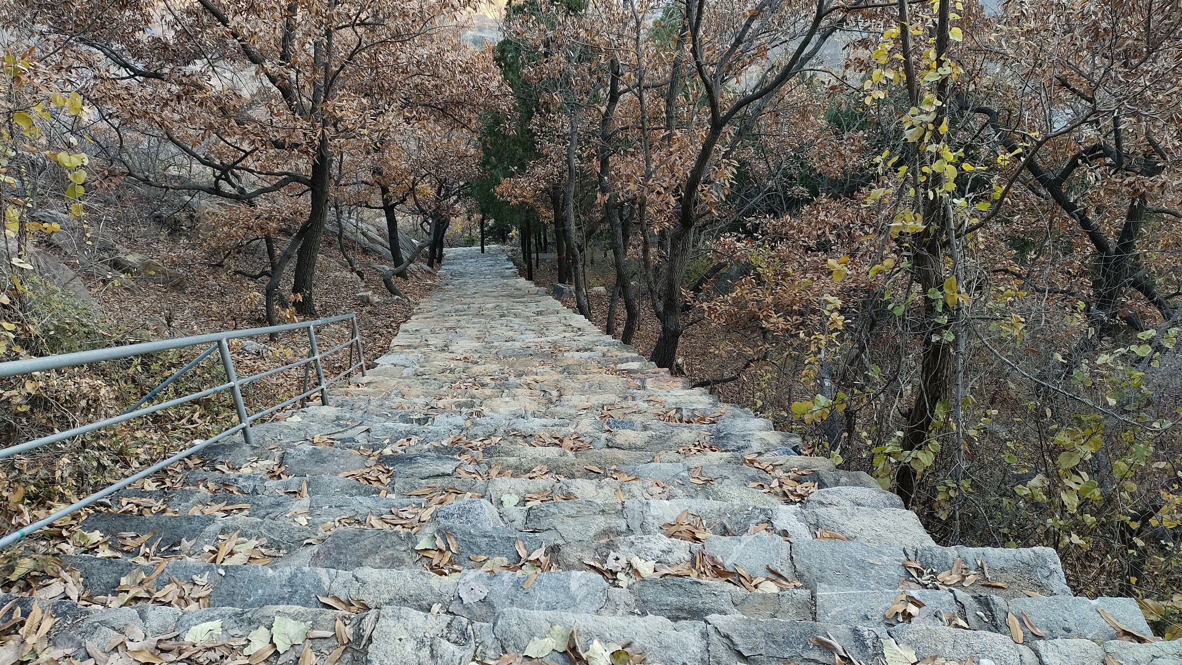 莲花山旅行图片 1