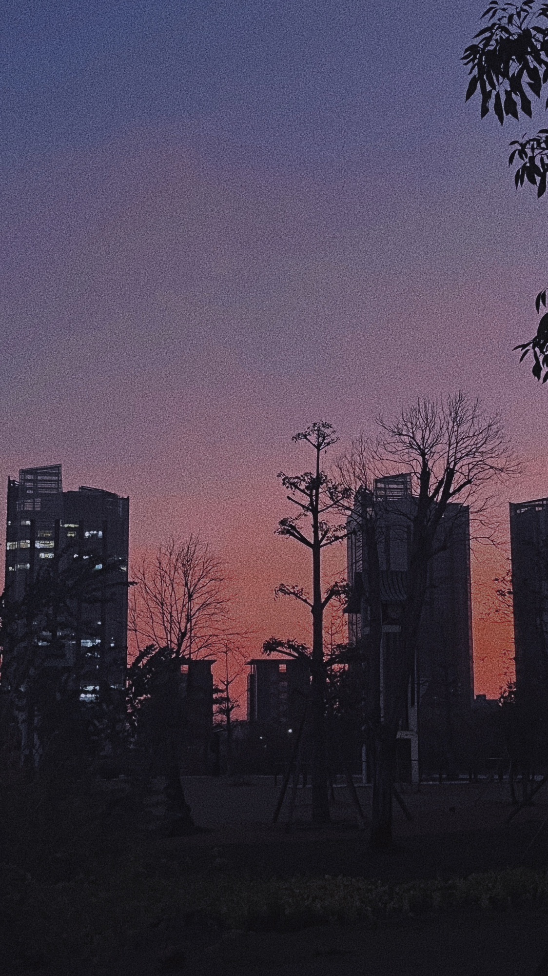 津湾公园旅行图片 1