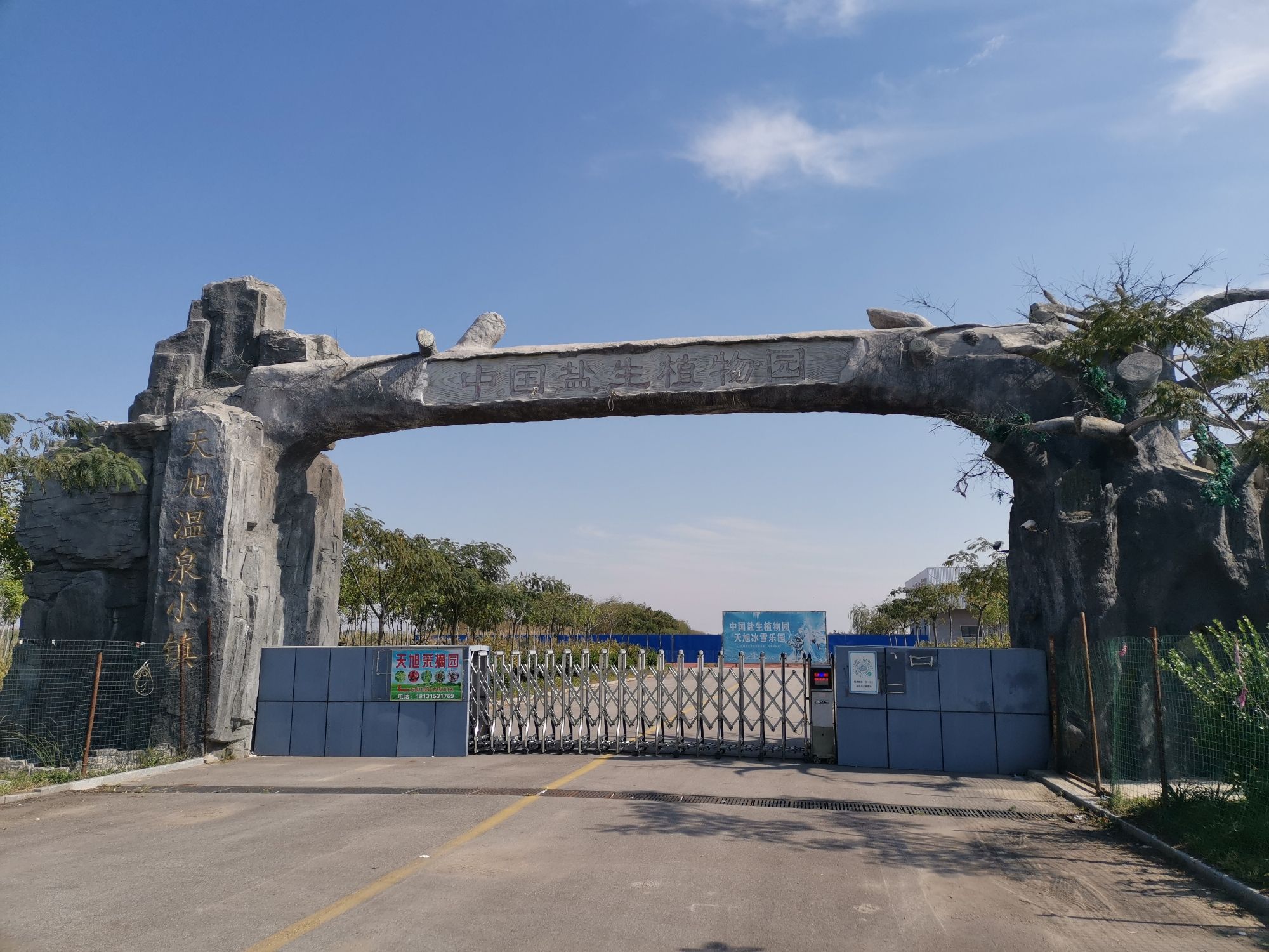 中国盐生植物园旅行图片 1