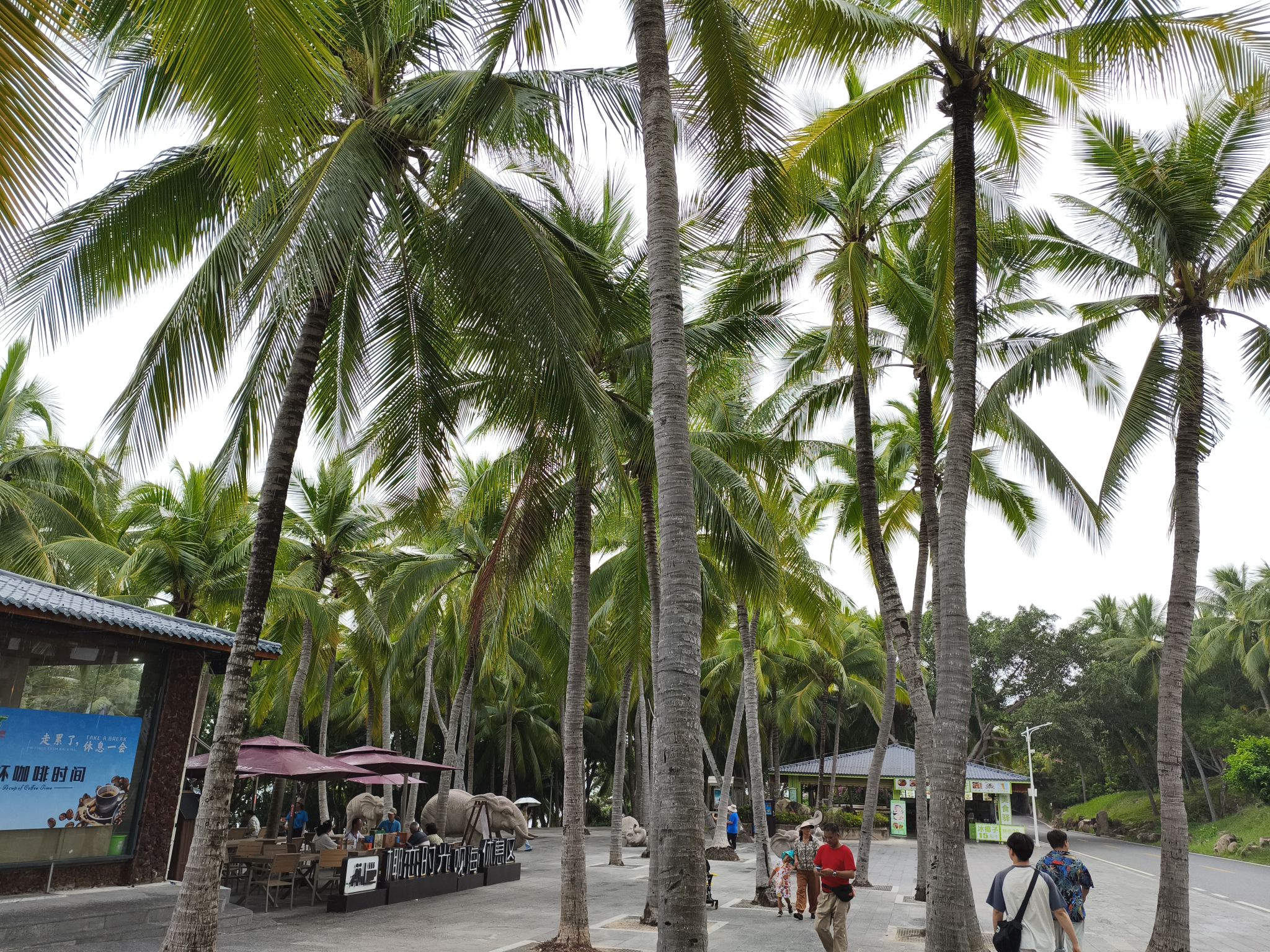 崖州湾海滩旅行图片 2