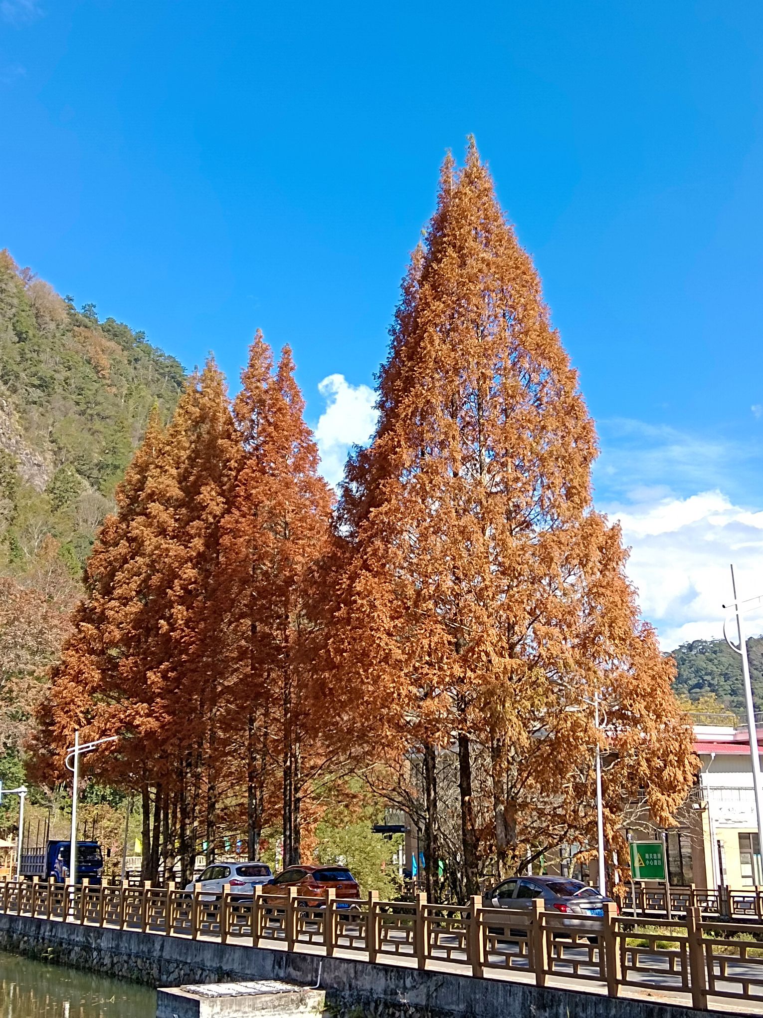 将乐龙栖山森林康养小镇旅行图片 3