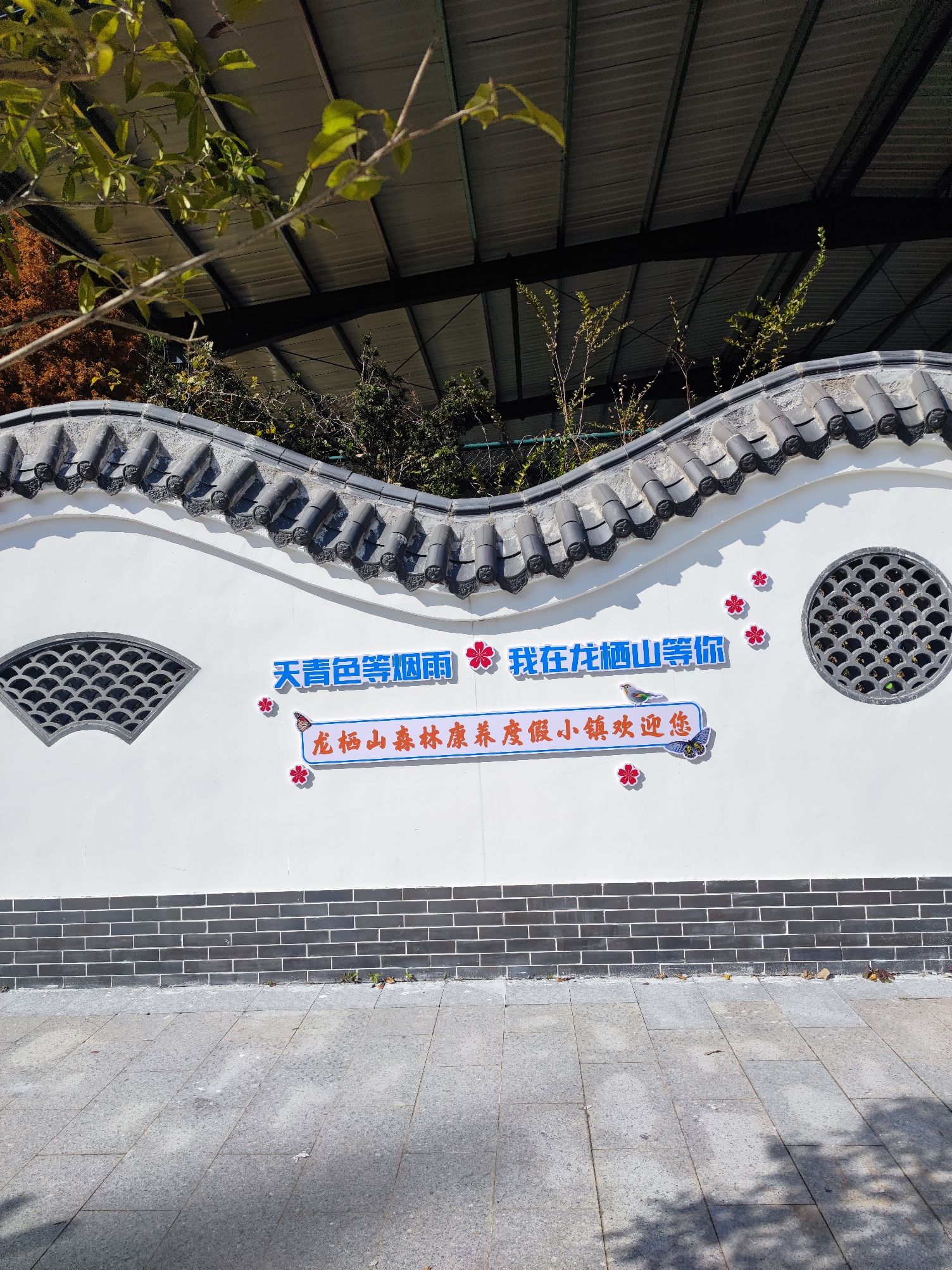 将乐龙栖山森林康养小镇旅行图片 2