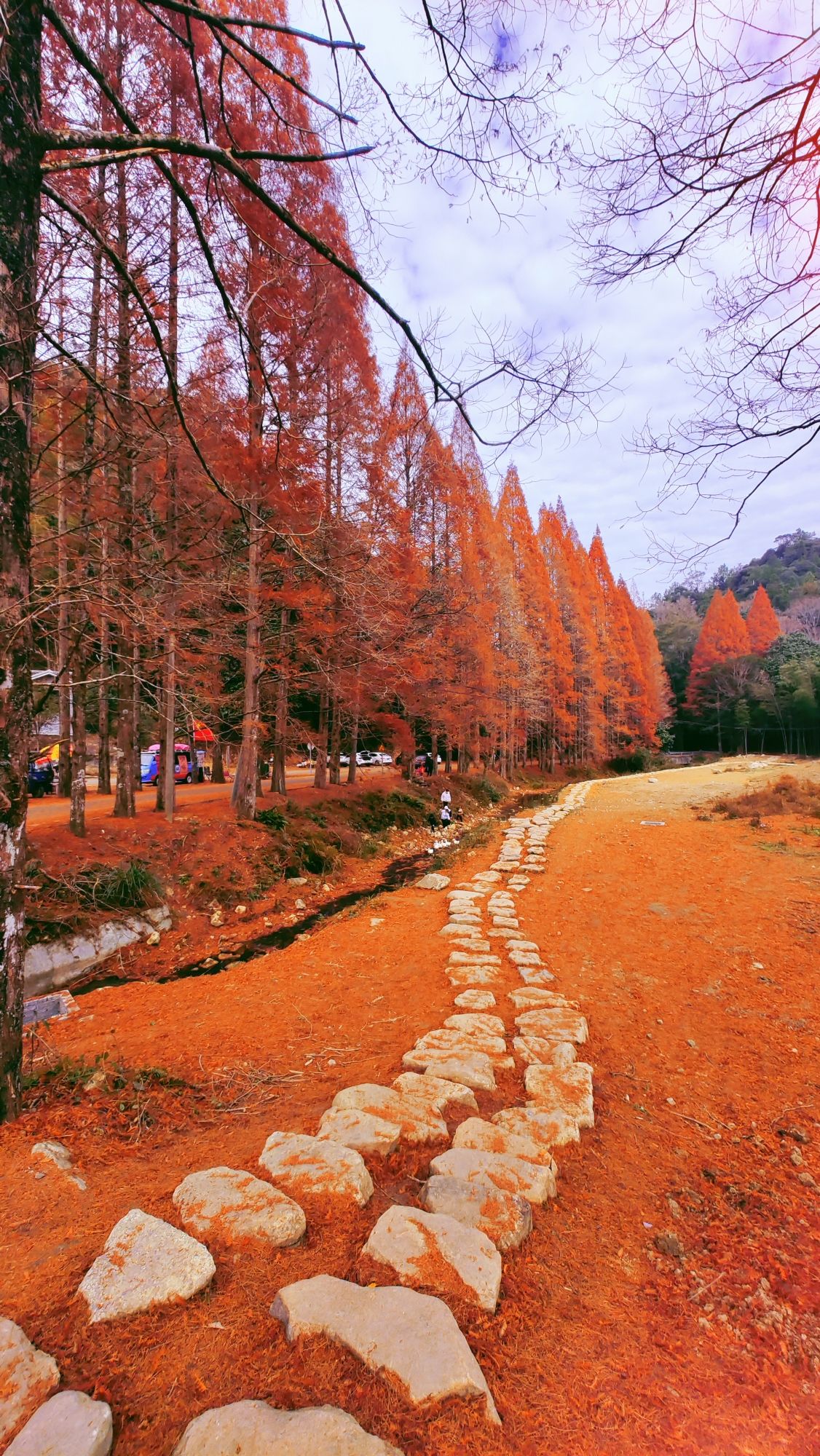 将乐龙栖山森林康养小镇旅行图片 1