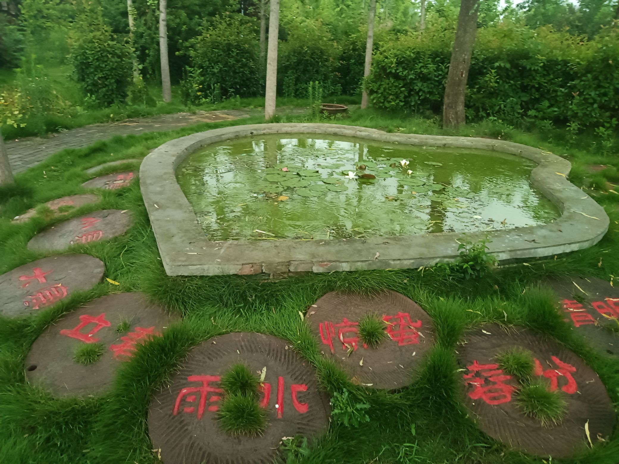 千年古银杏园旅行图片 1