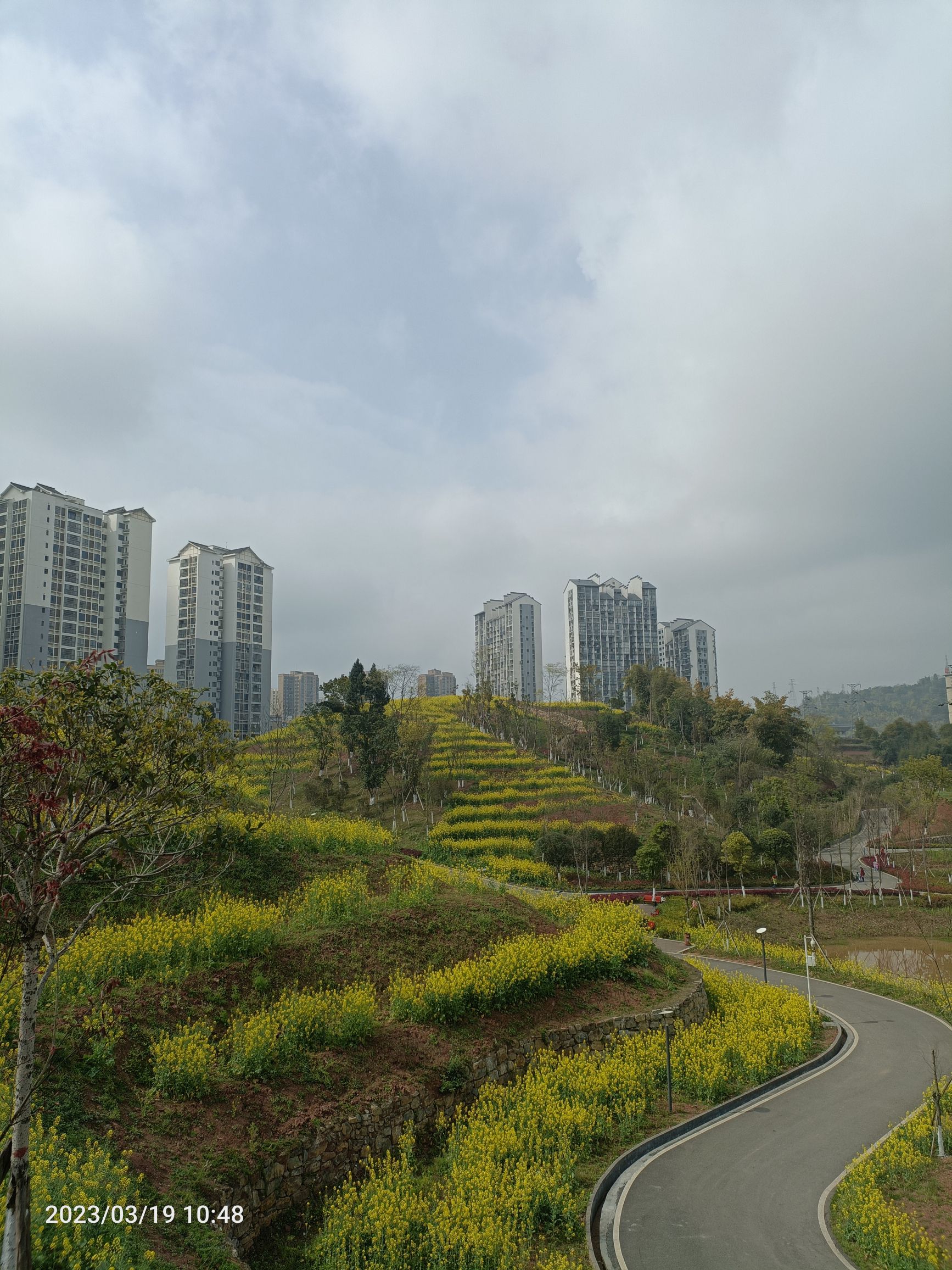 红星生态公园旅行图片 1