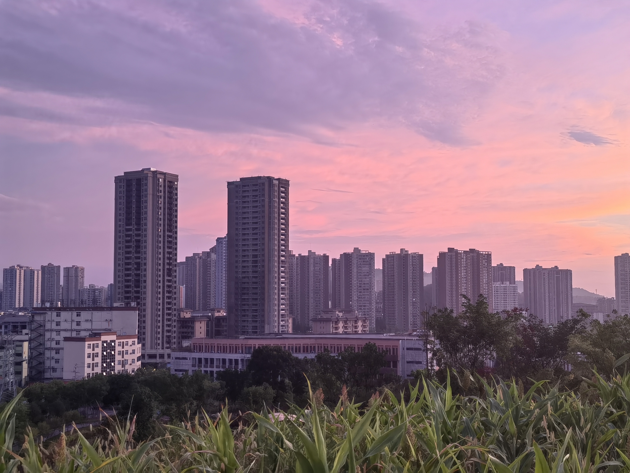 红星生态公园旅行图片 2