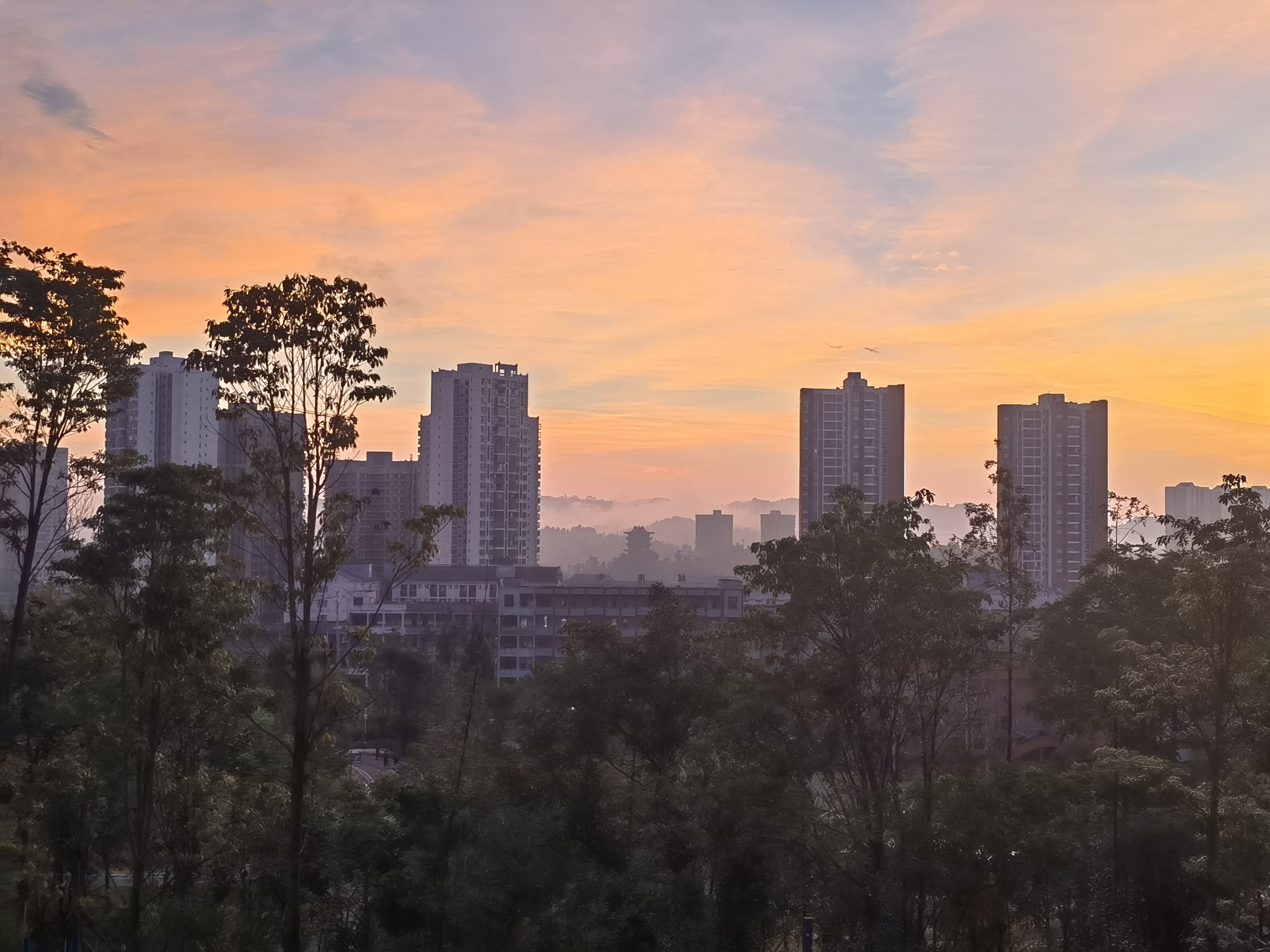红星生态公园旅行图片 1