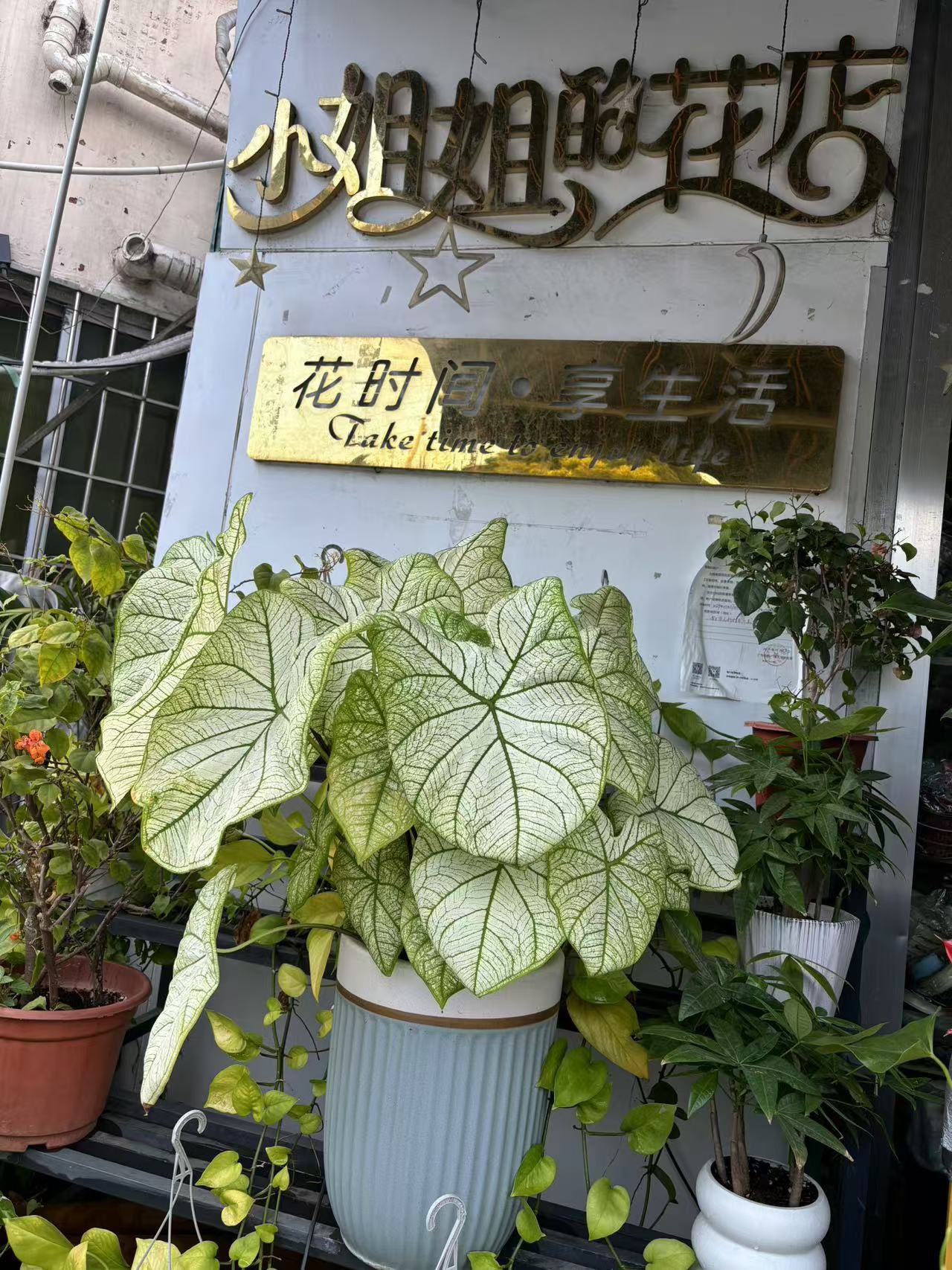 小姐姐的花店(天河公园店)