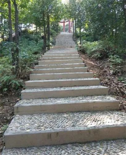 森林公园健走步道旅行图片 3