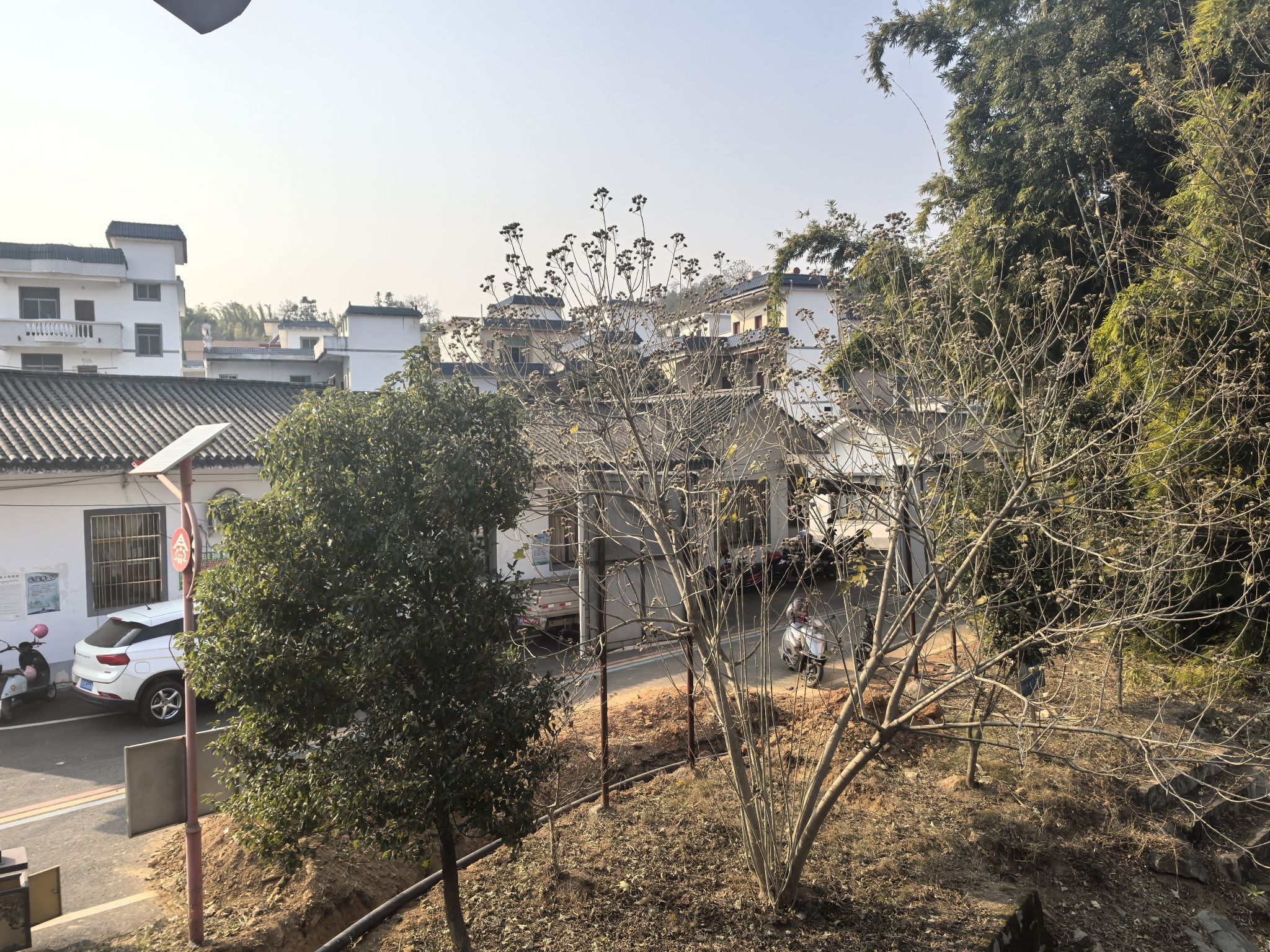 球狮村健走步道-观景台旅行图片 3