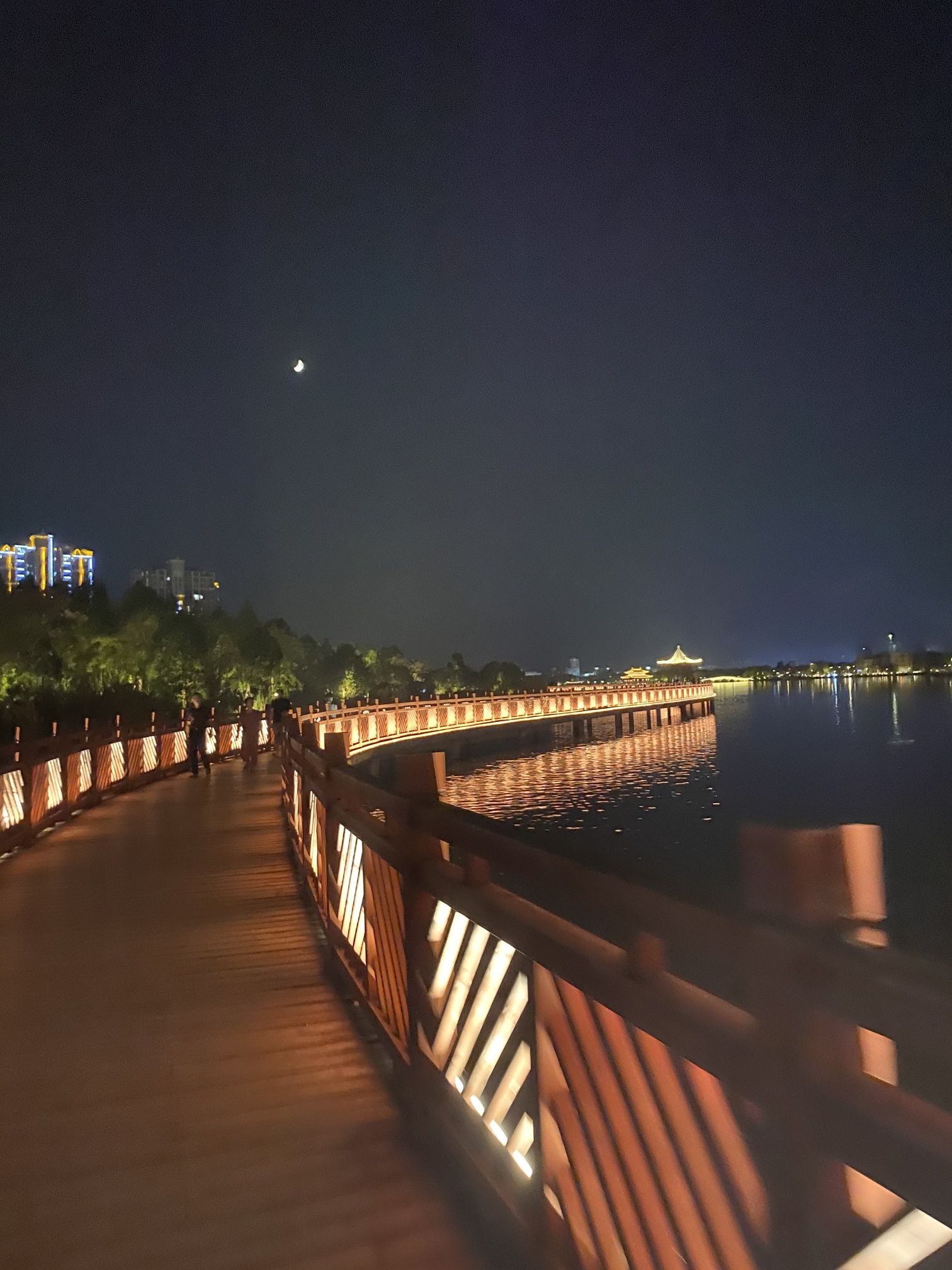 环东湖公园健走步道旅行图片 2