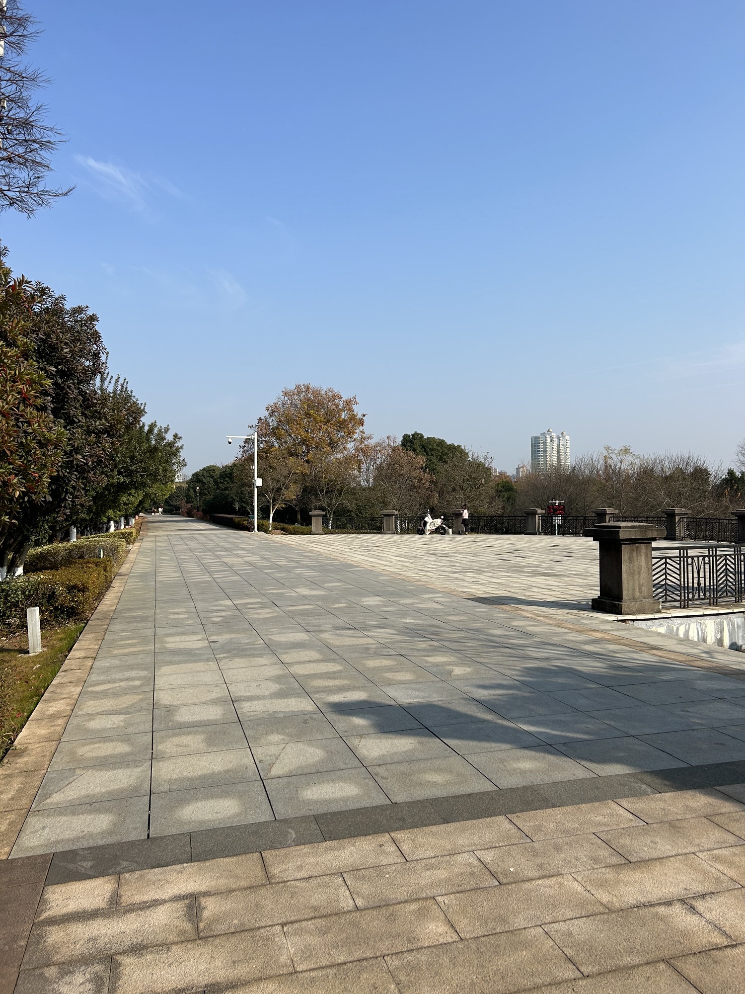 人民公园沿江城市健走步道-广场旅行图片 2