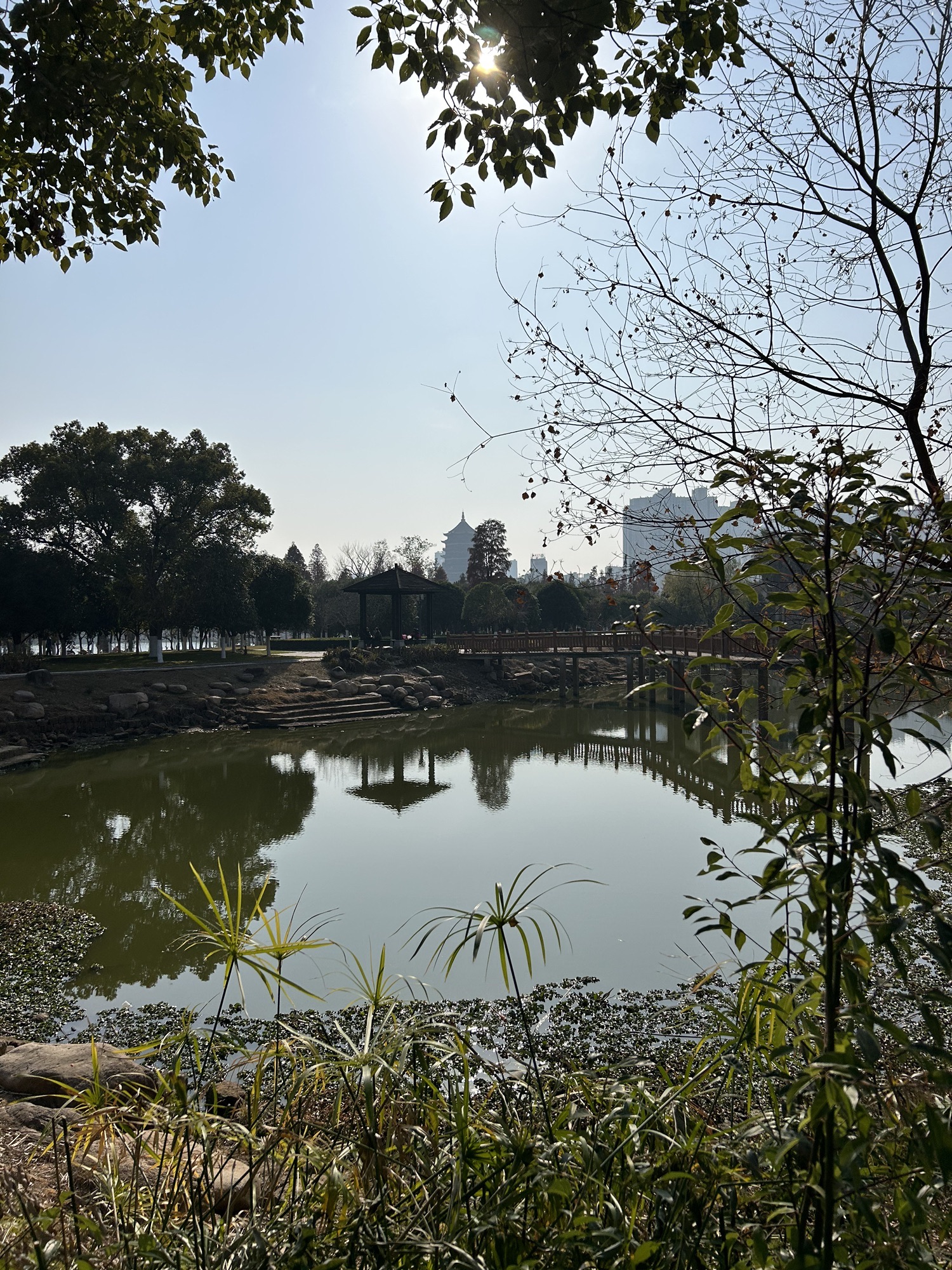人民公园沿江城市健走步道-广场旅行图片 3
