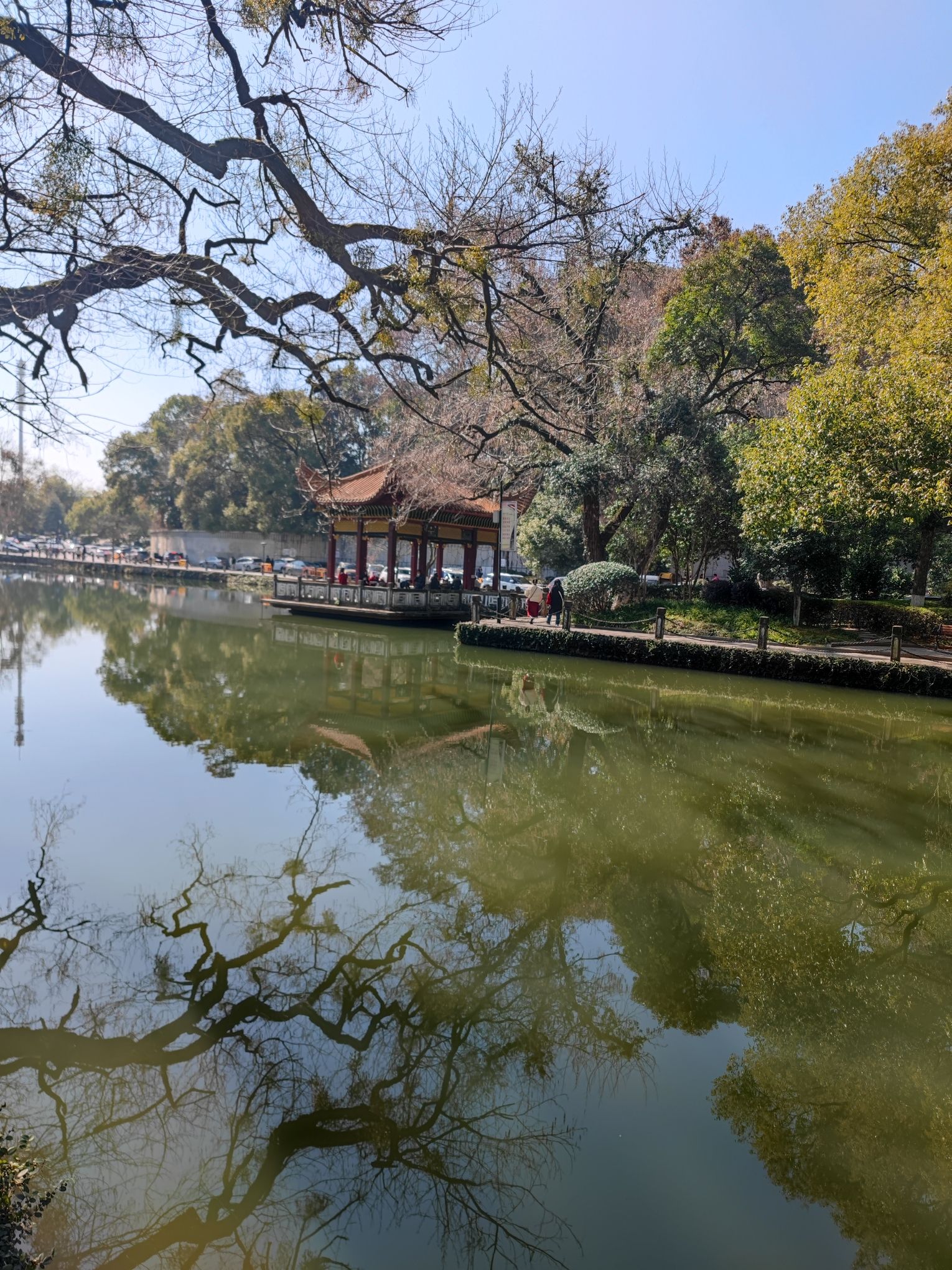 莲花塘社区健走步道旅行图片 3