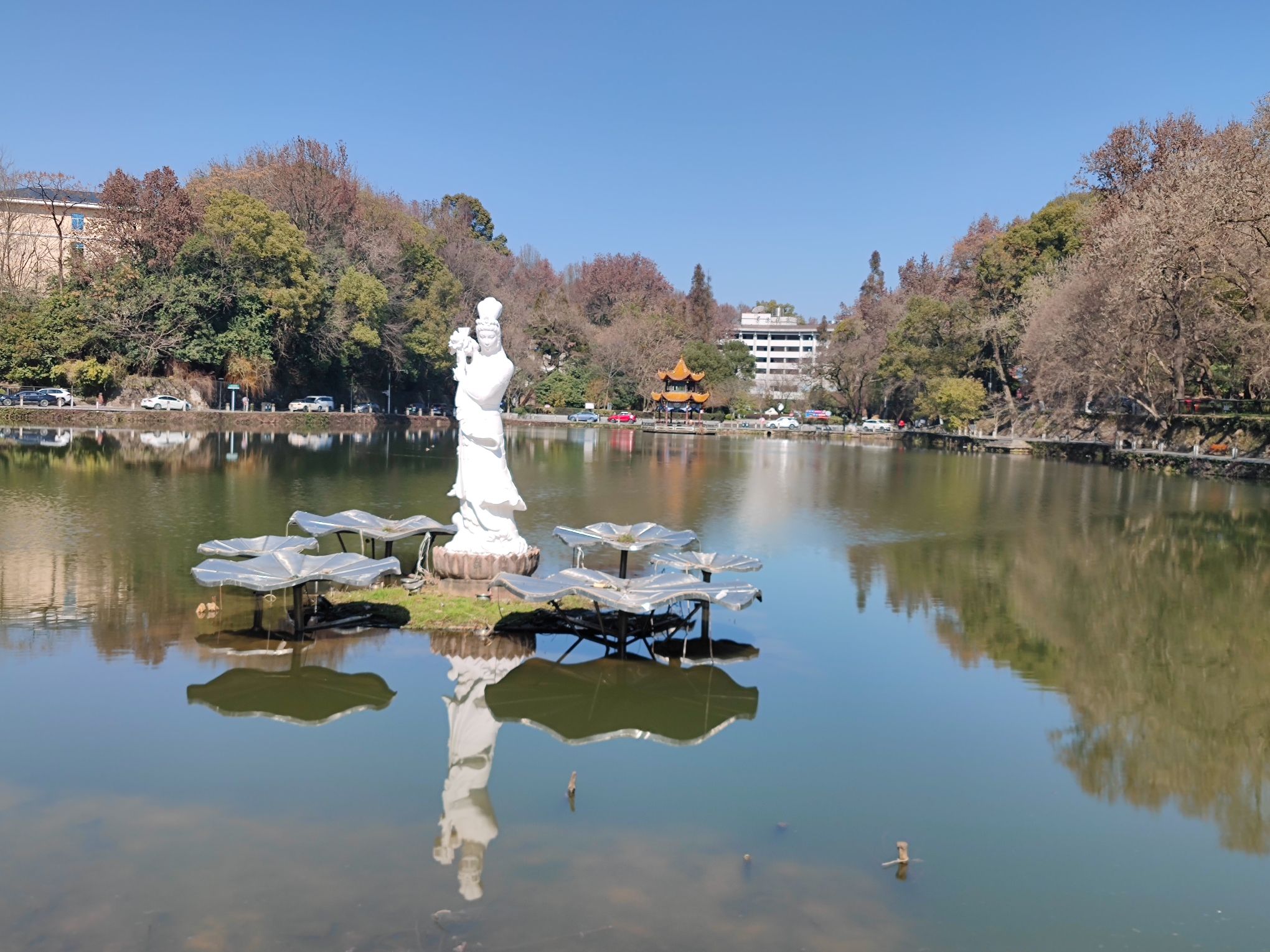 莲花塘社区健走步道旅行图片 2