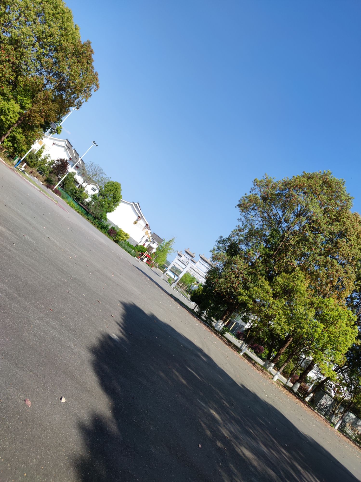 江油市李白故居管理处旅行图片 2