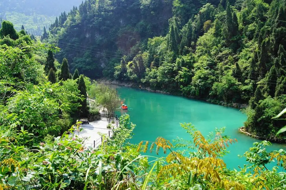 大坡岭省级森林公园