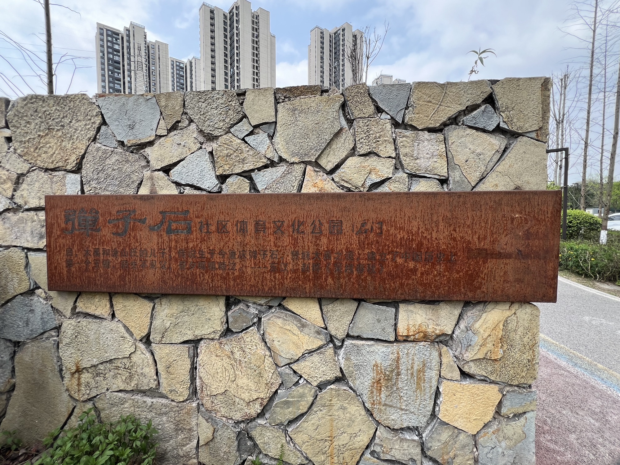弹子石社区体育文化公园旅行图片 1