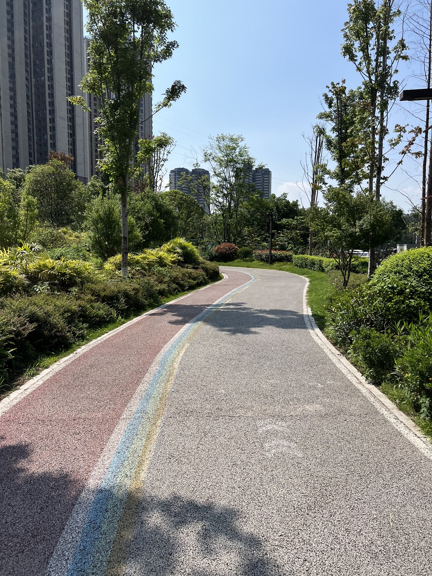 弹子石社区体育文化公园旅行图片 3