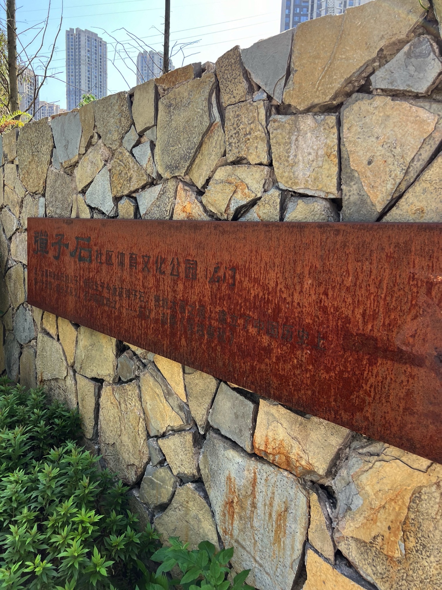 弹子石社区体育文化公园旅行图片 1