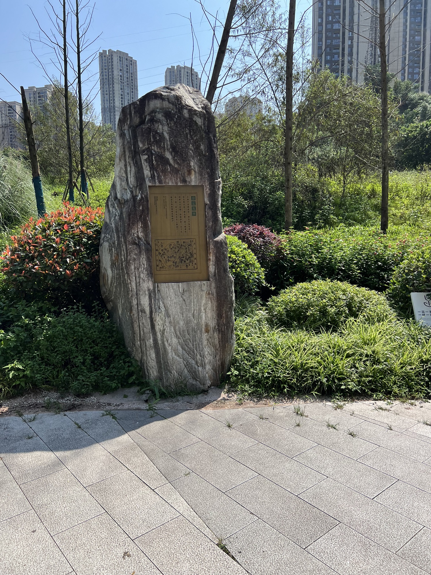 弹子石社区体育文化公园旅行图片 2