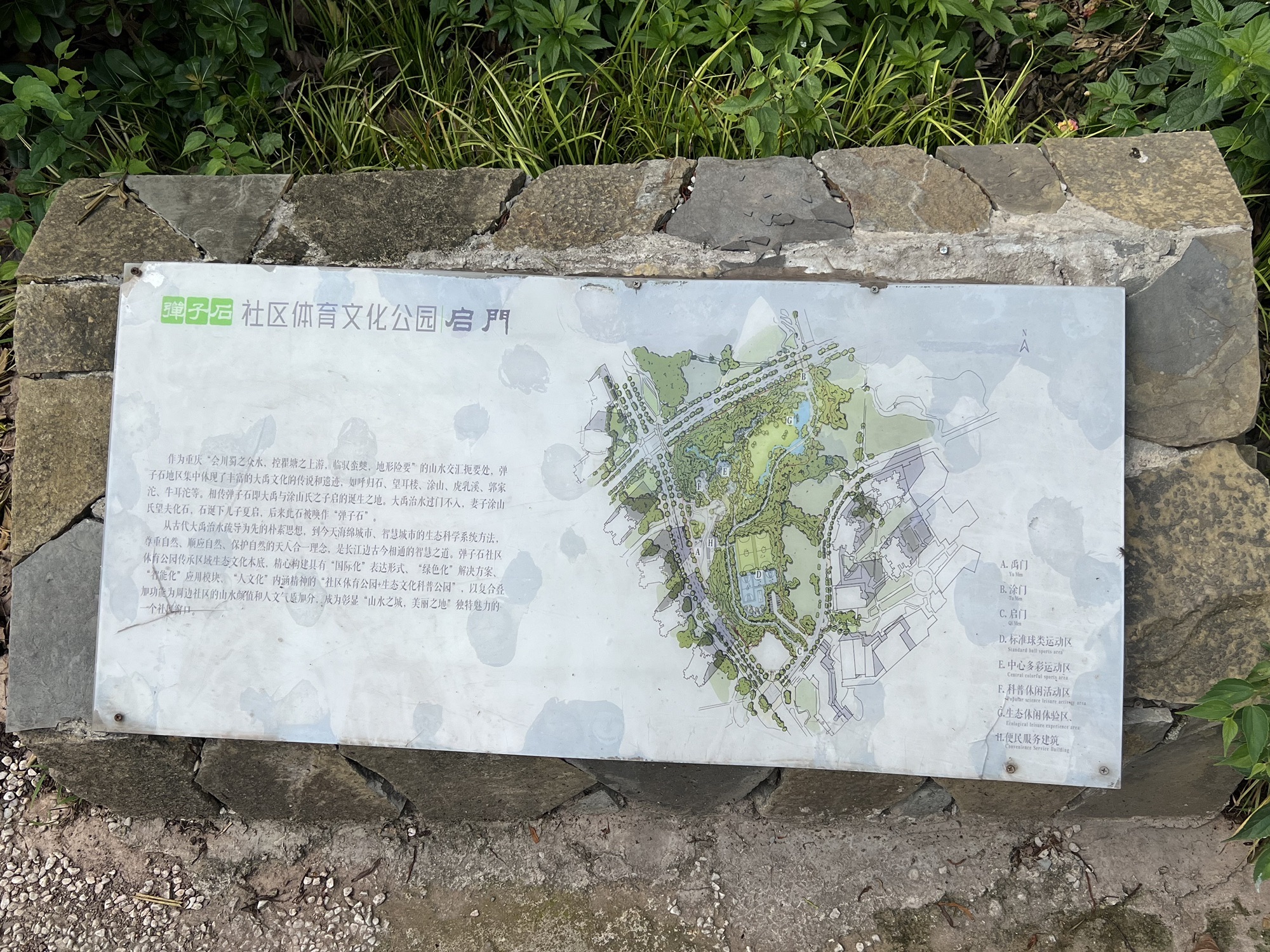 弹子石社区体育文化公园旅行图片 2