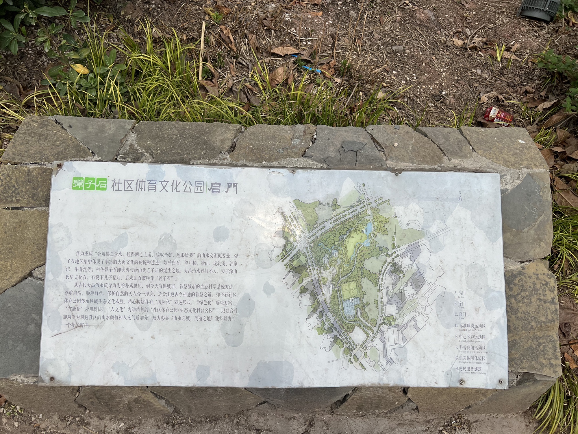 弹子石社区体育文化公园旅行图片 2