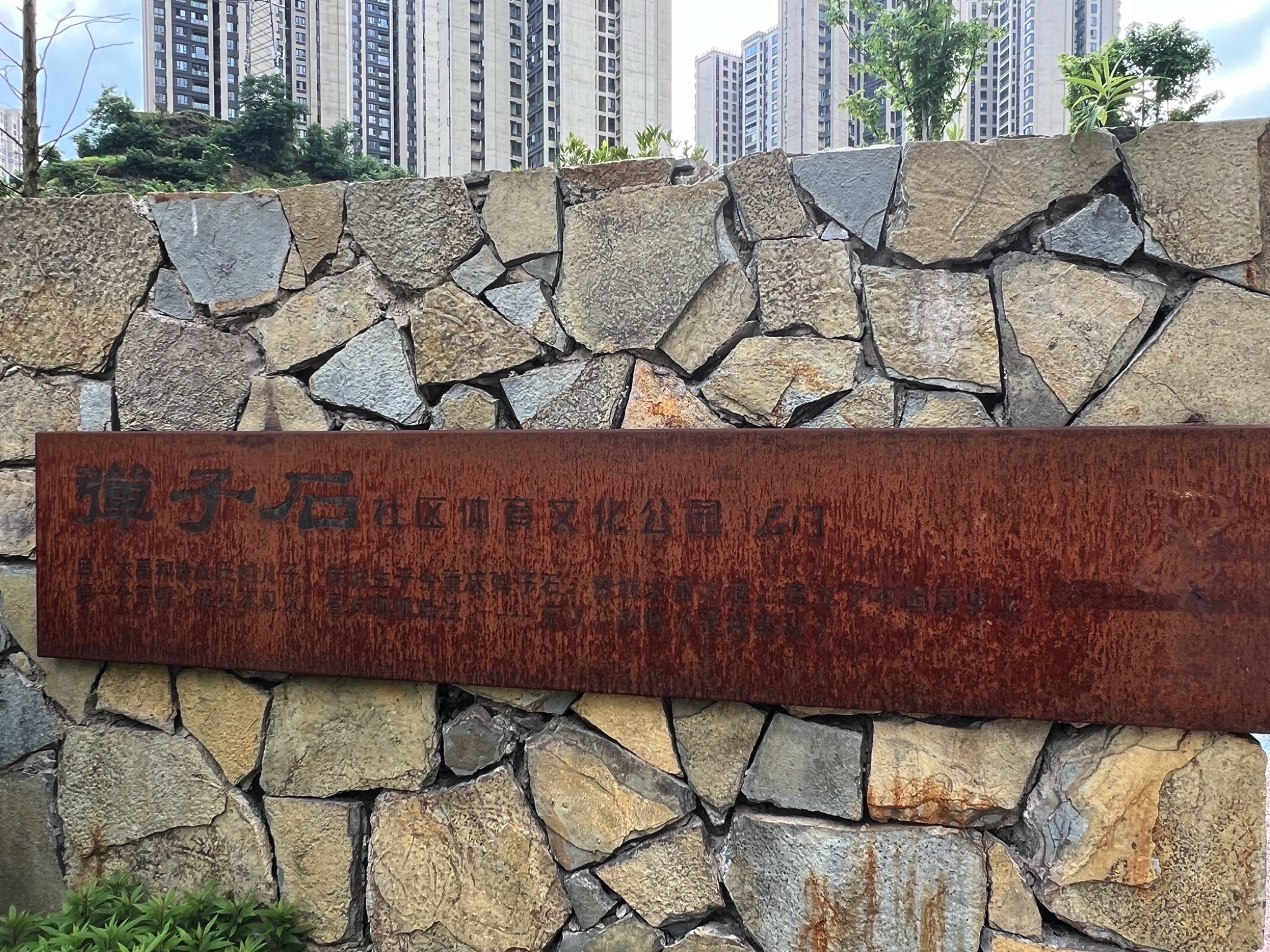 弹子石社区体育文化公园旅行图片 1