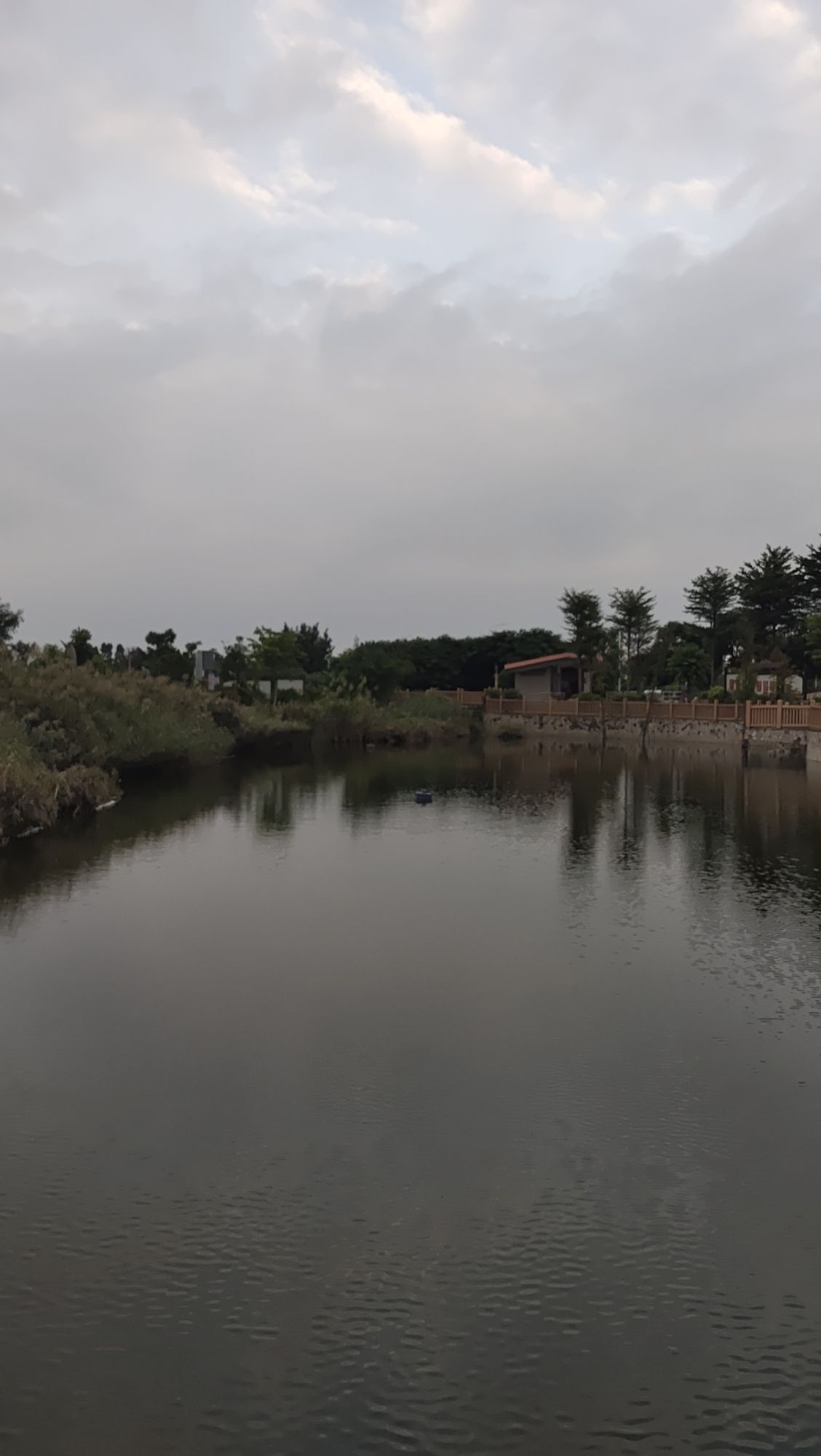 官埭东池公园旅行图片 1