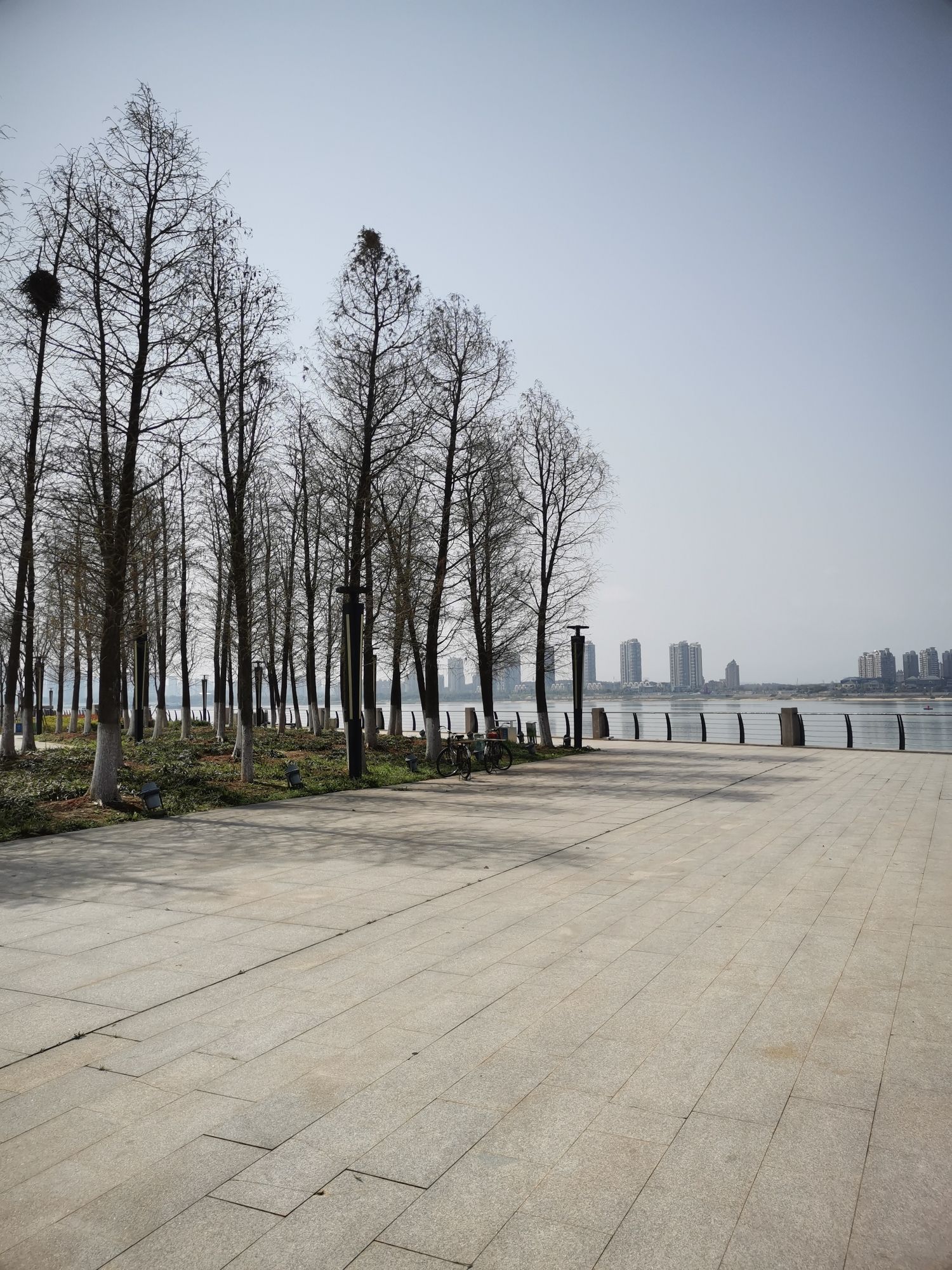 江滩广场旅行图片 3